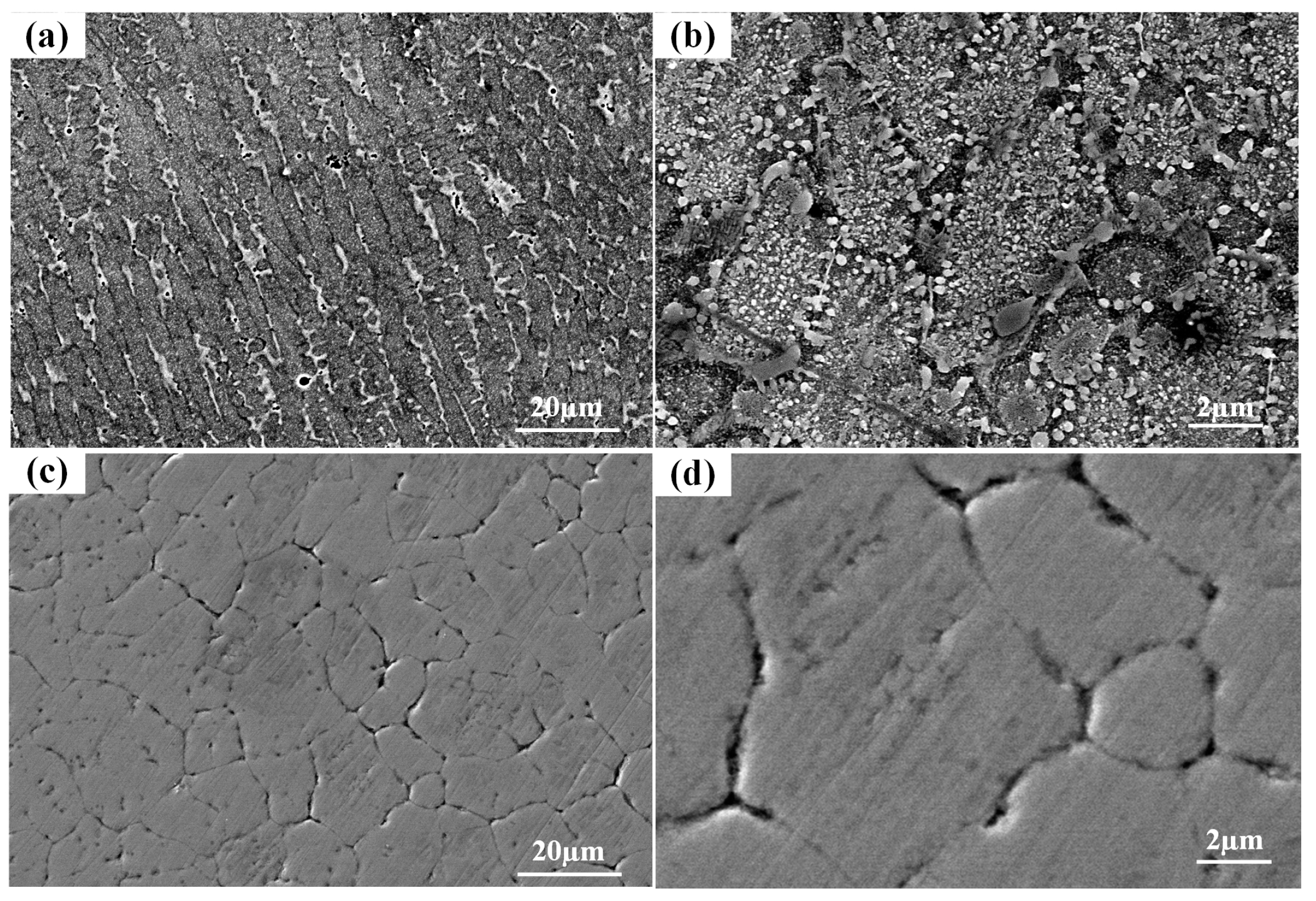 Coatings 14 00663 g004