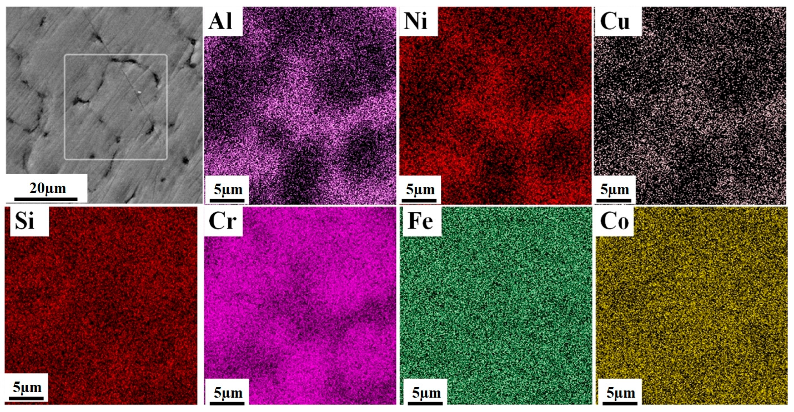 Coatings 14 00663 g005