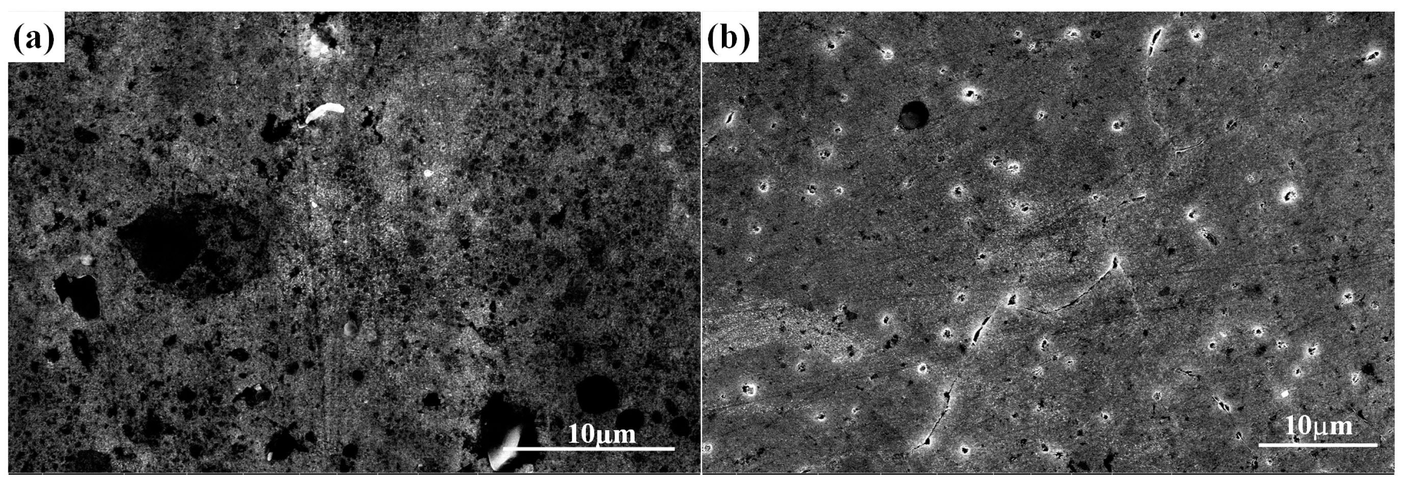 Coatings 14 00663 g008