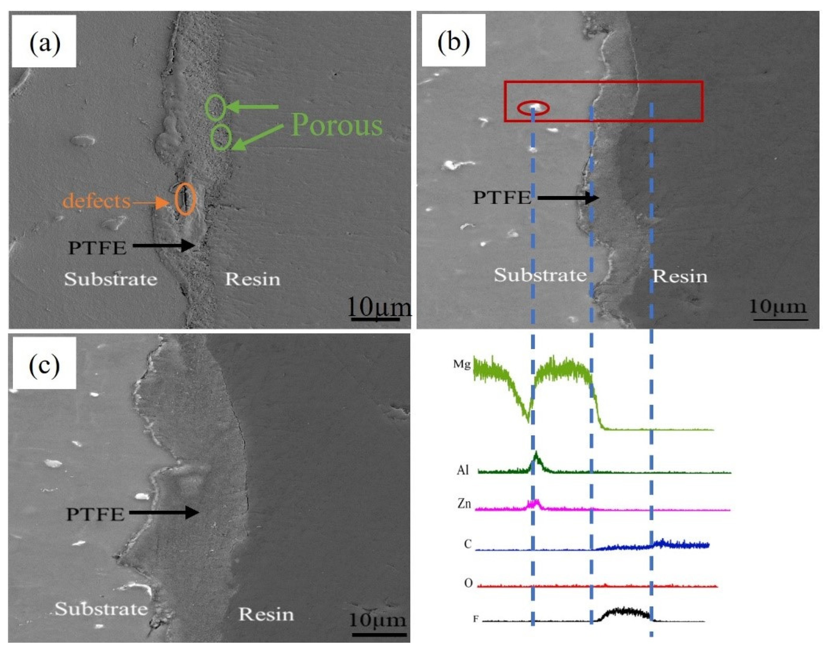 Coatings 14 00664 g004
