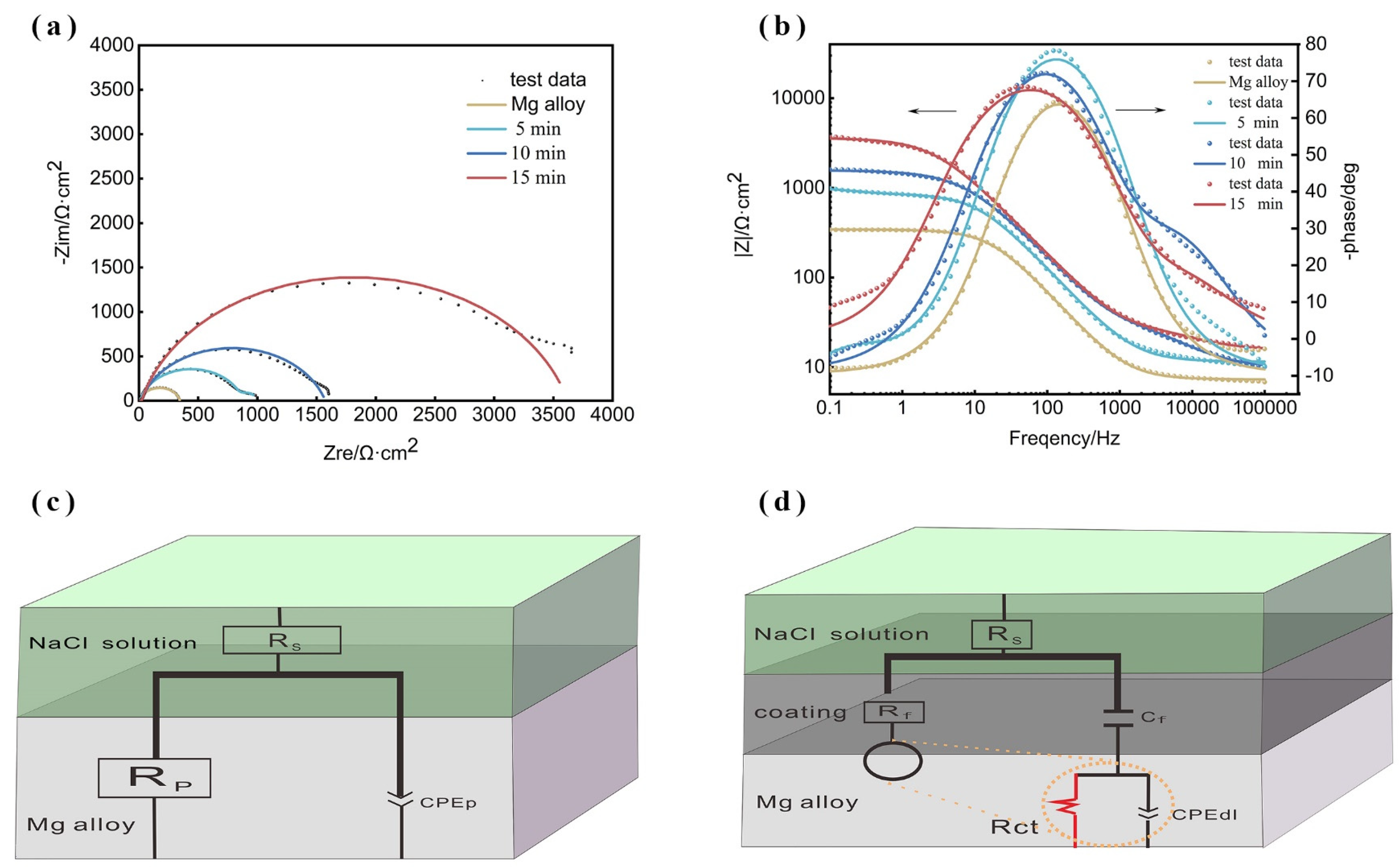 Coatings 14 00664 g009