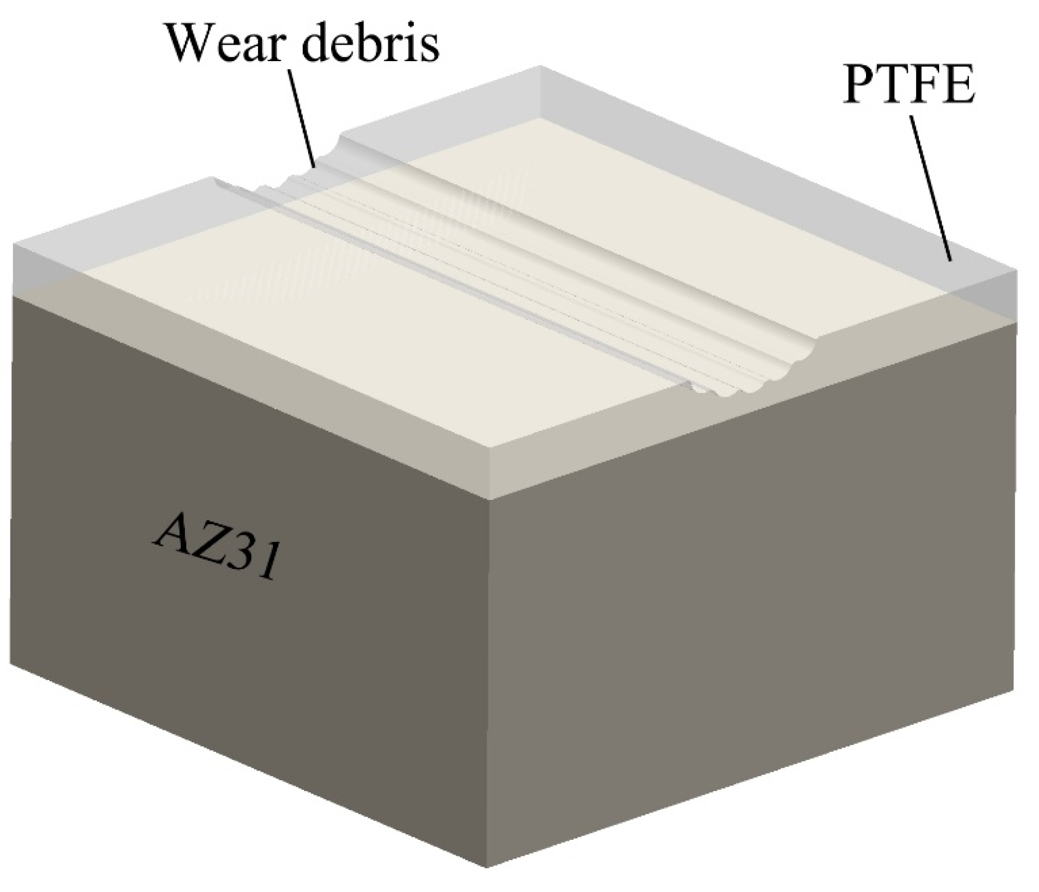 Coatings 14 00664 g015
