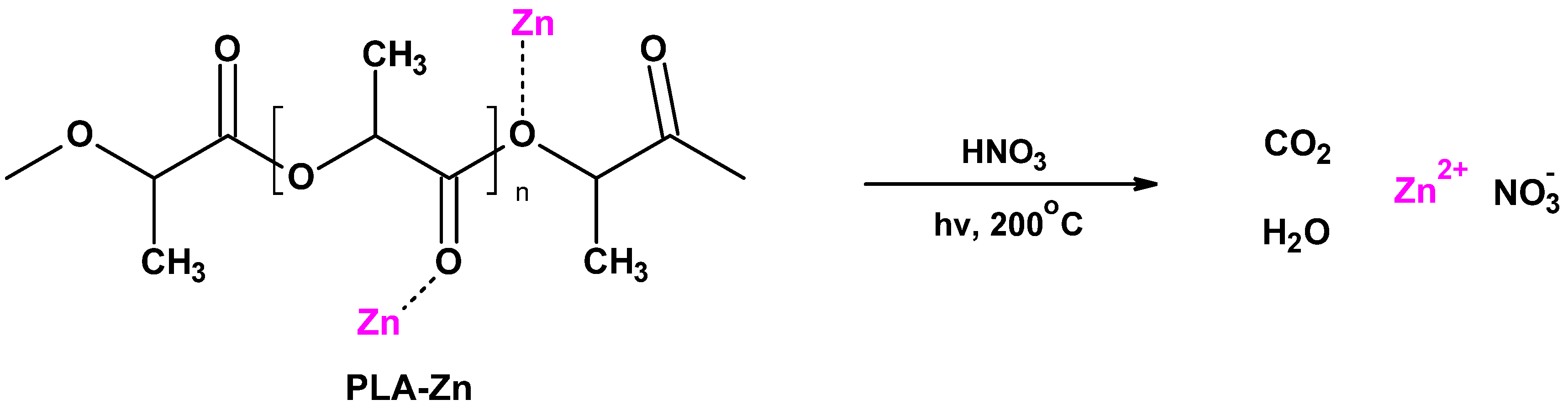 Coatings 14 00666 g001