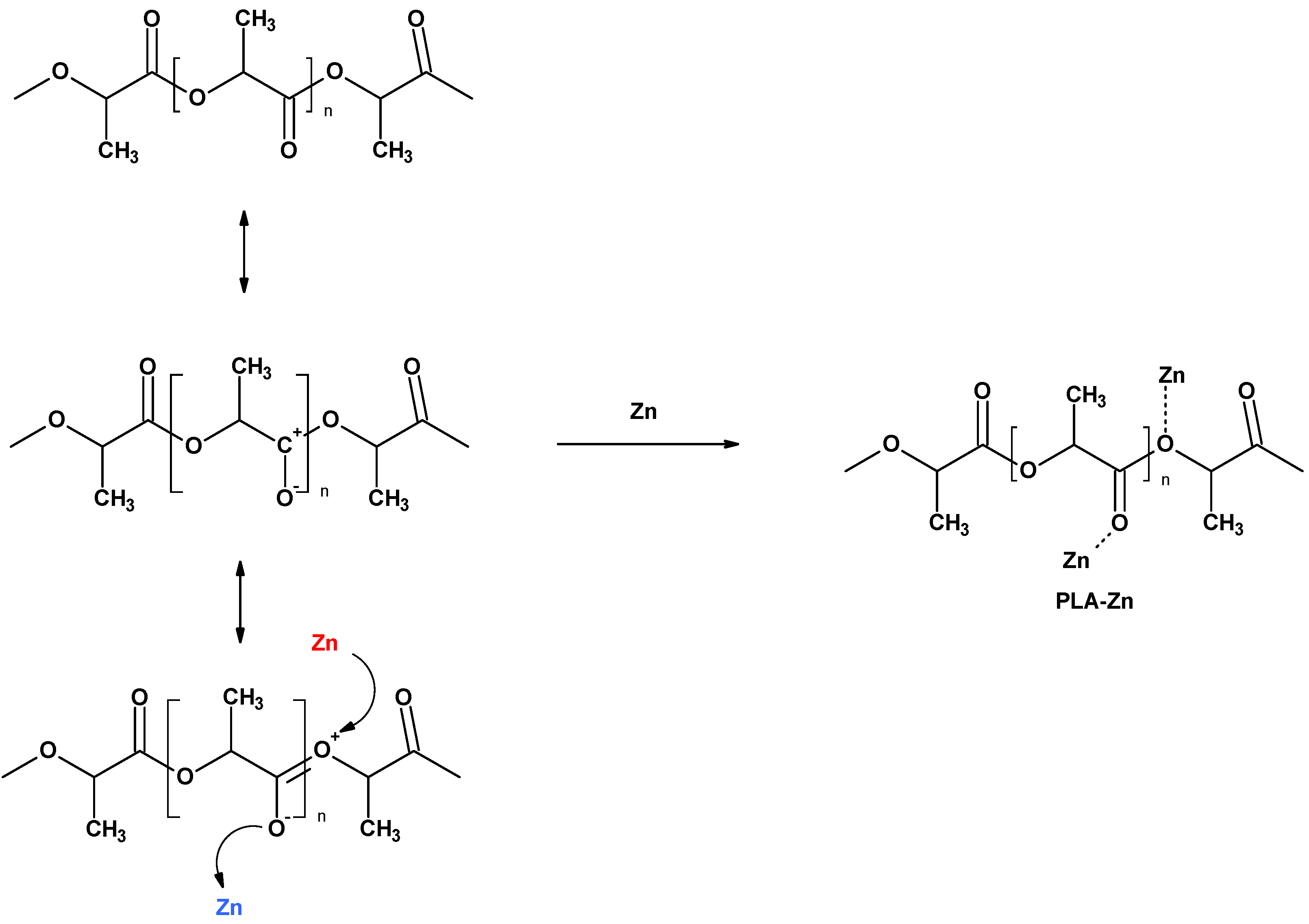 Coatings 14 00666 g003