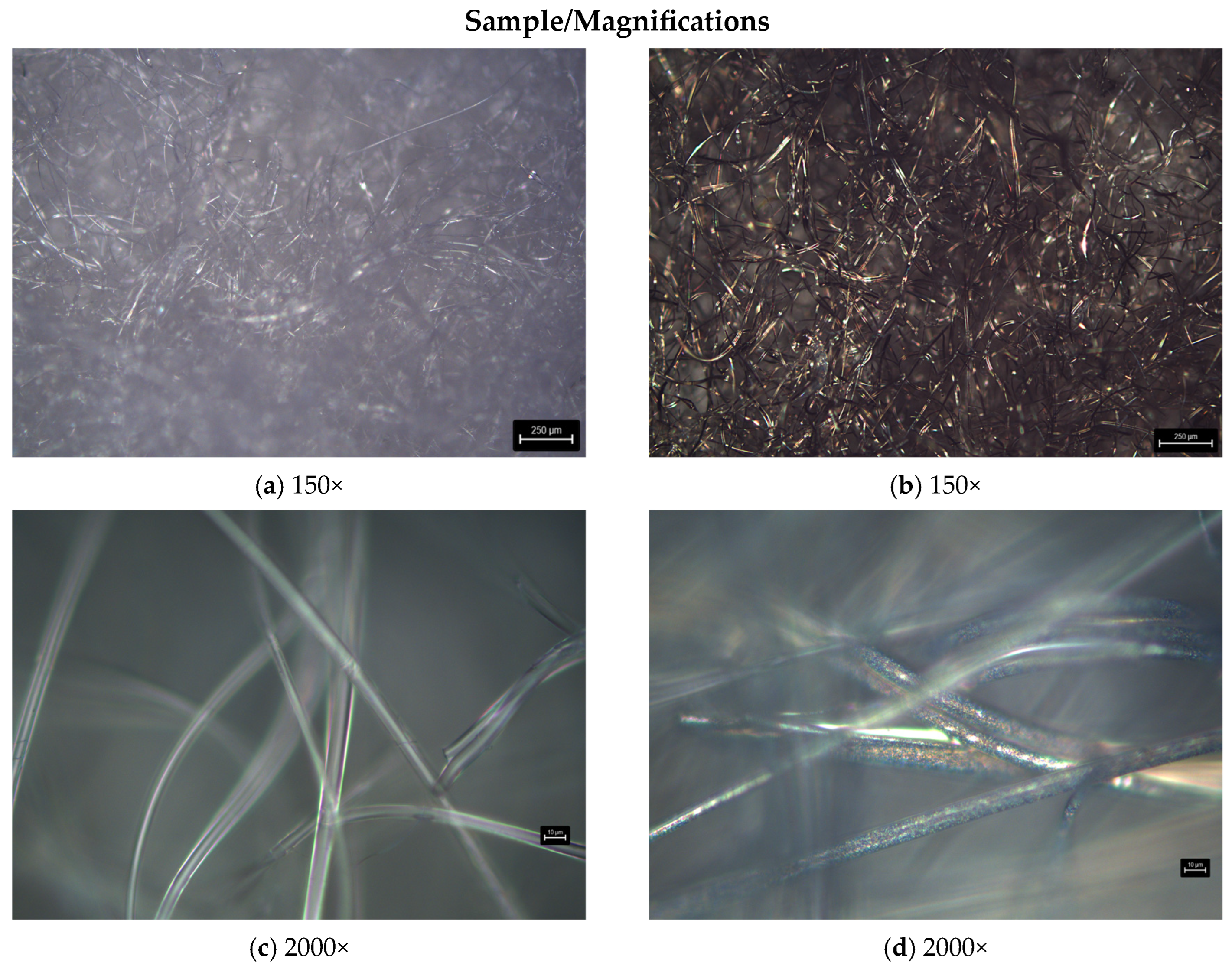 Coatings 14 00666 g004