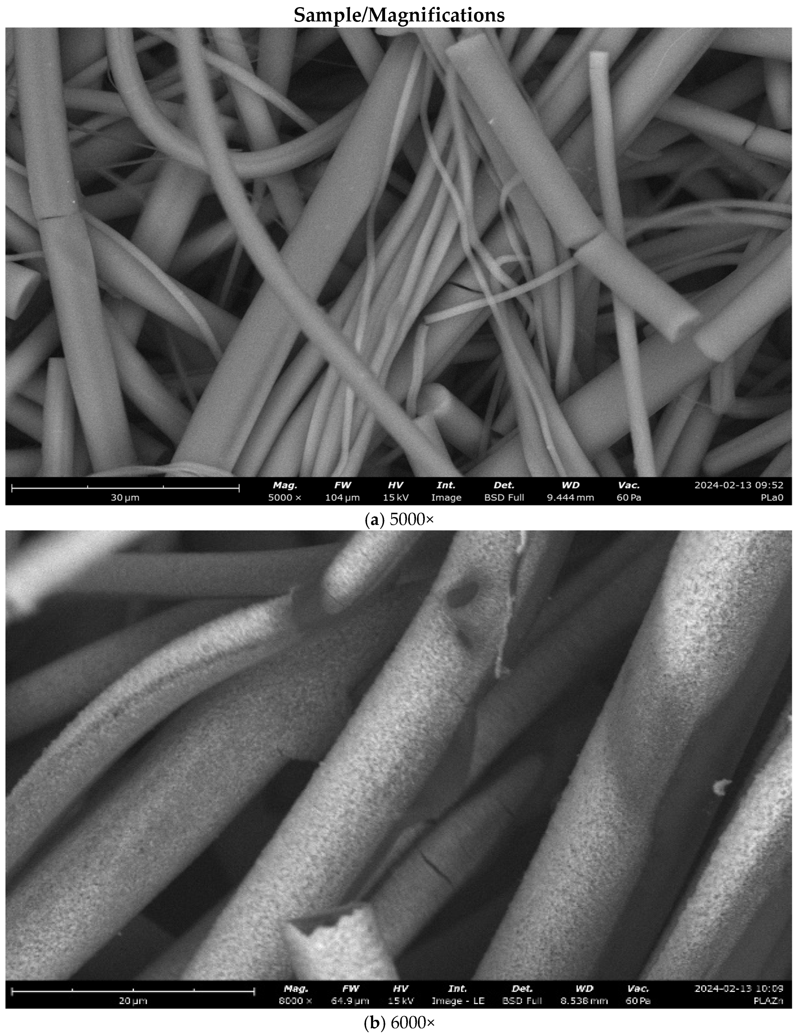 Coatings 14 00666 g005a