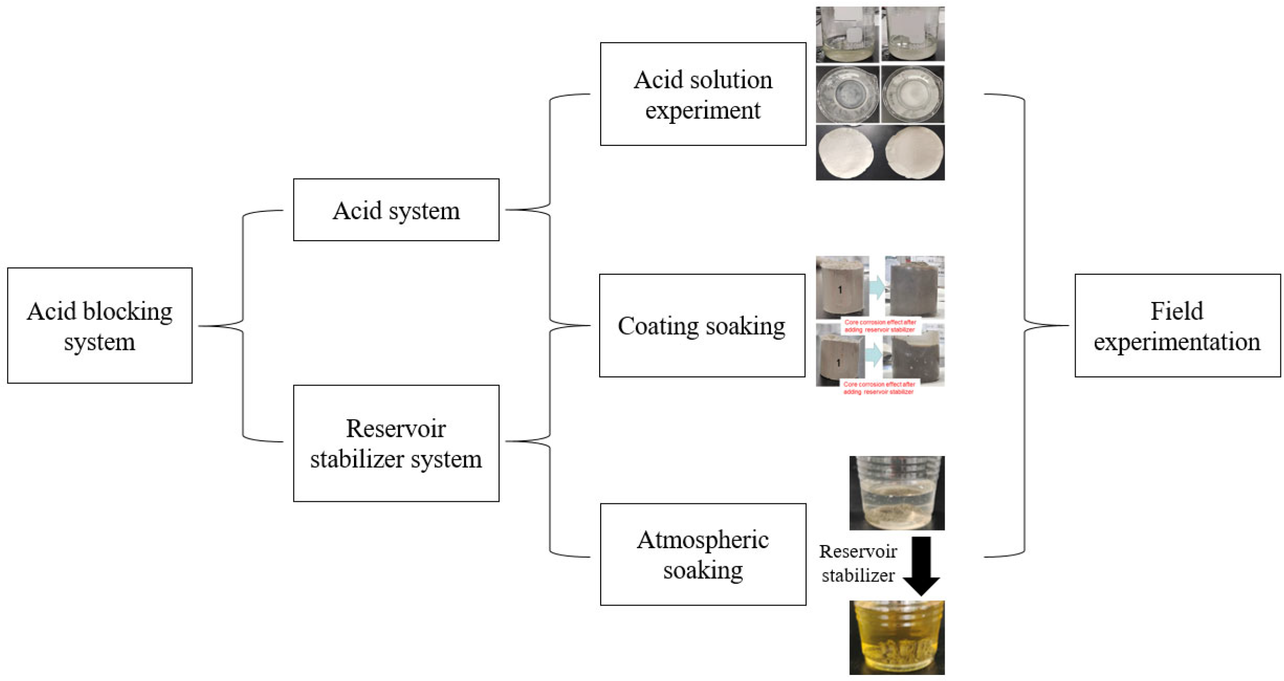 Coatings 14 00667 g002