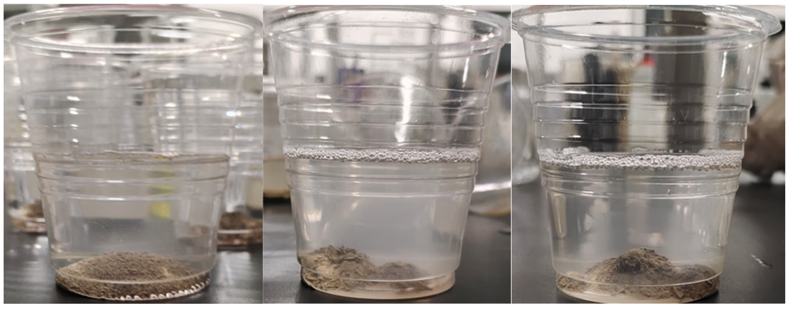 Coatings 14 00667 g011