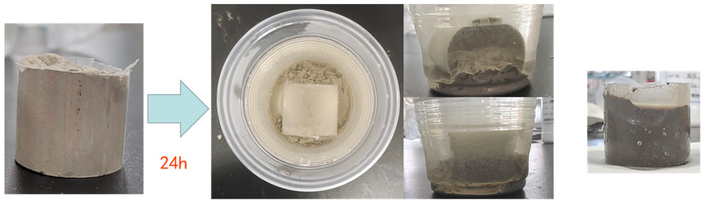 Coatings 14 00667 g017