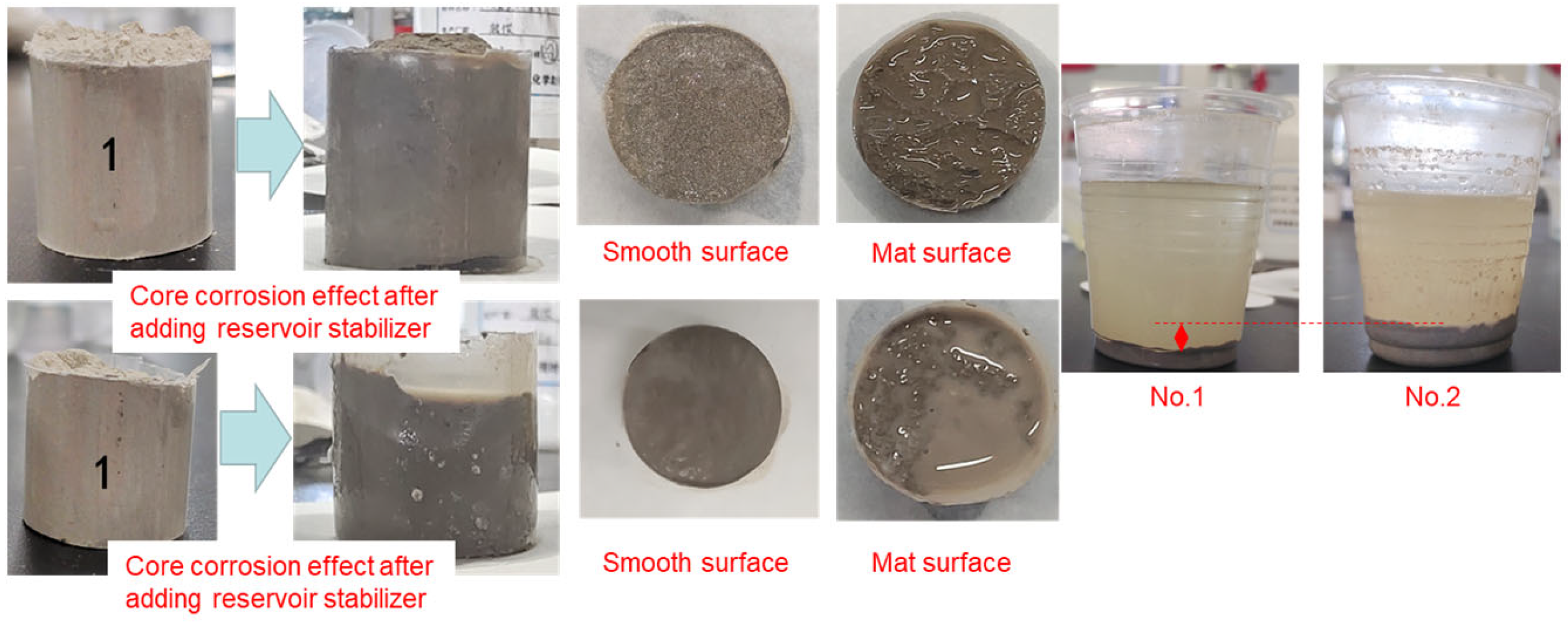 Coatings 14 00667 g018