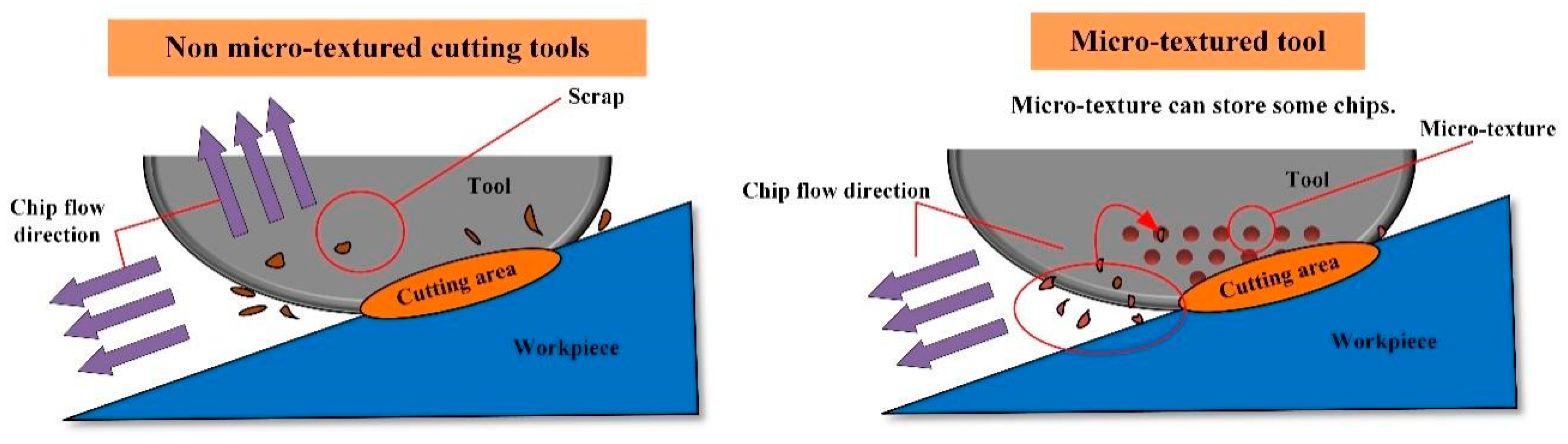 Coatings 14 00670 g007
