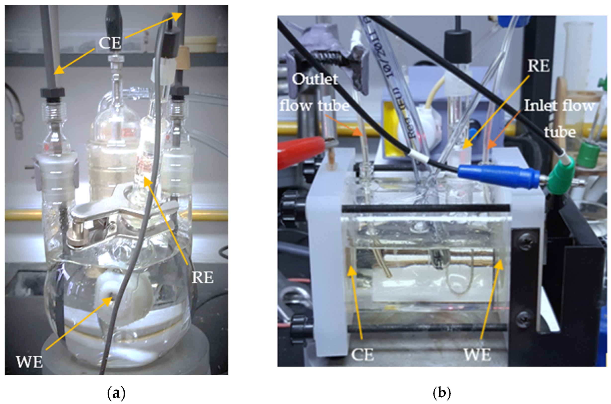 Coatings 14 00671 g001