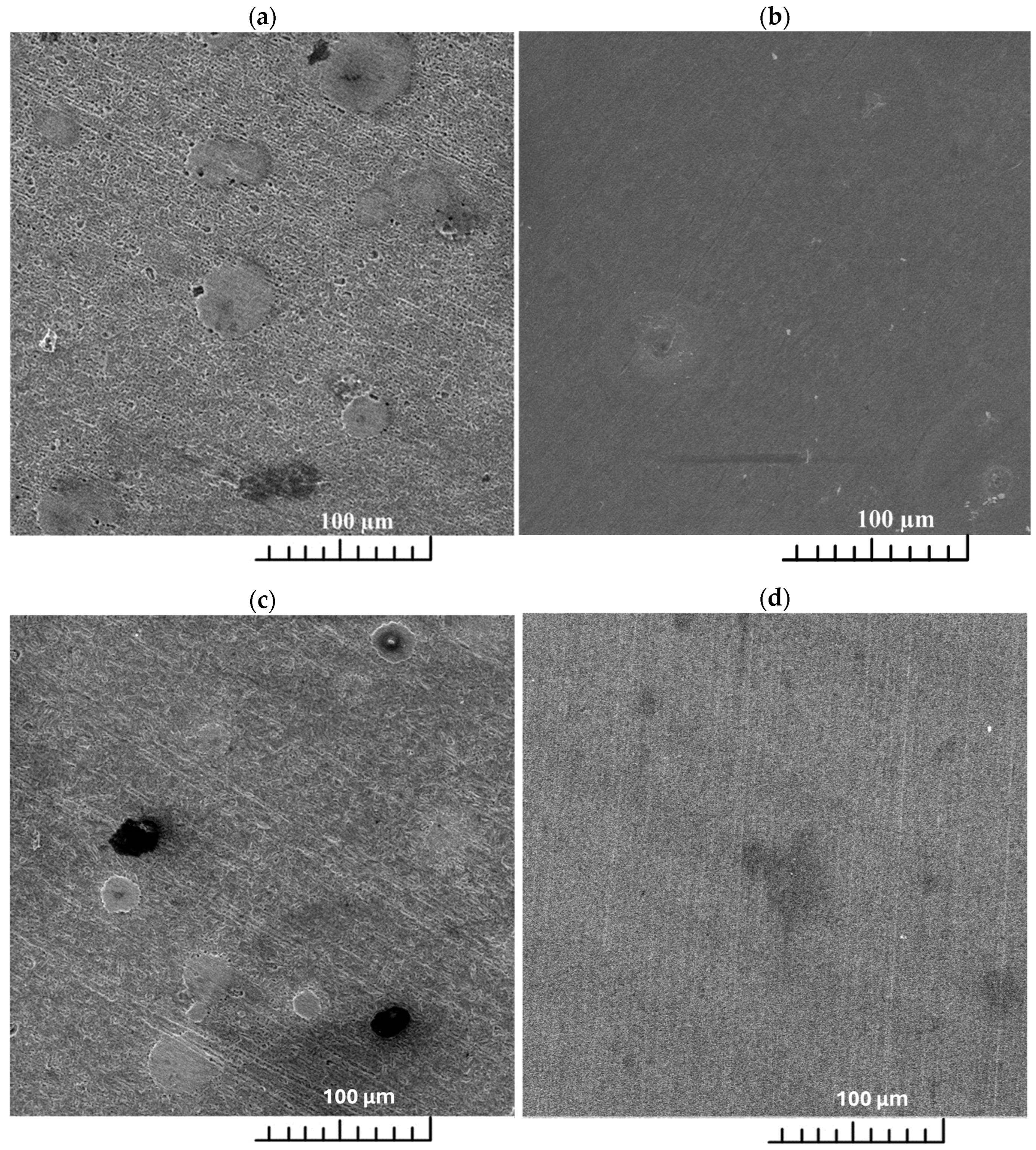 Coatings 14 00671 g006