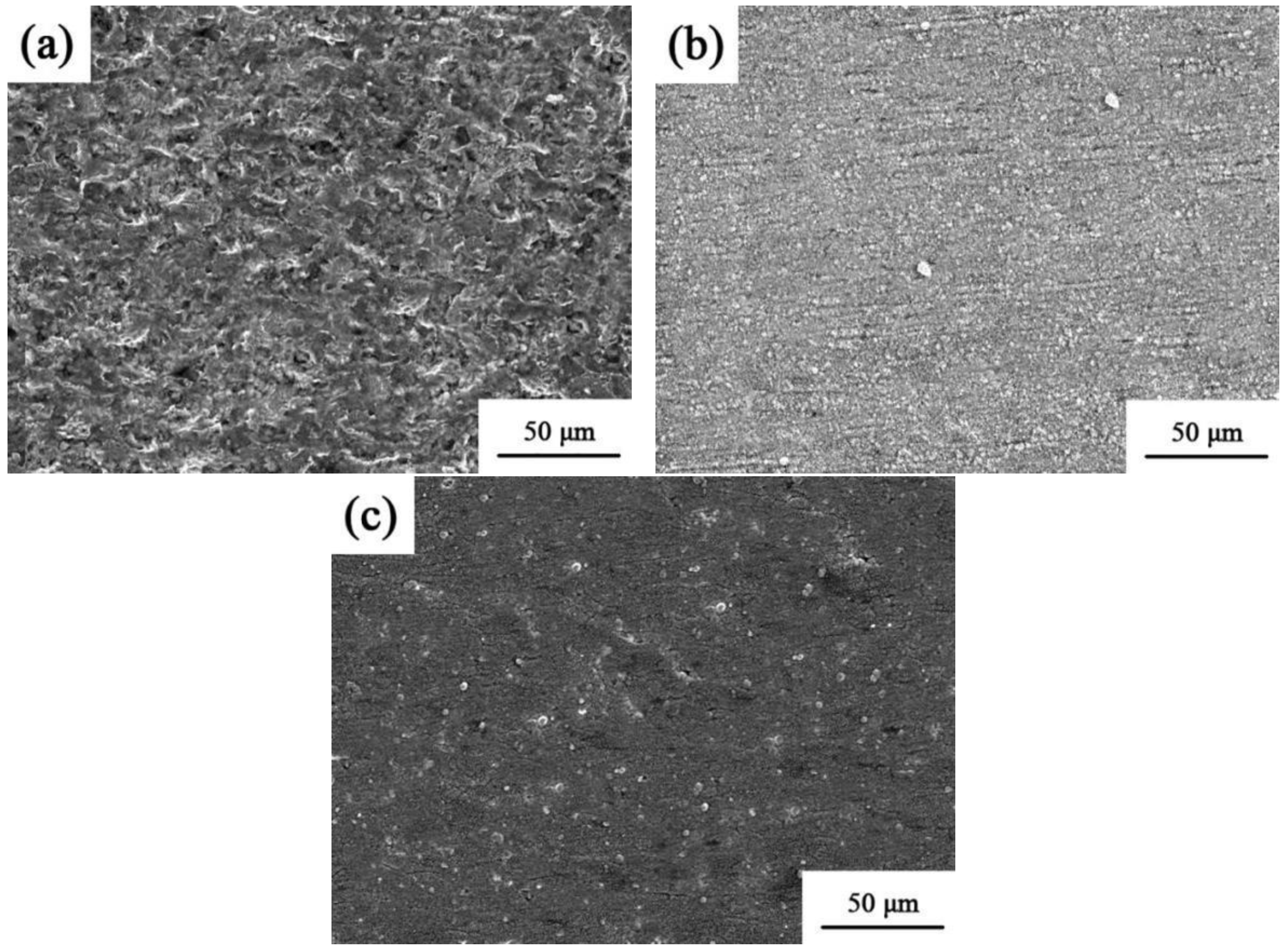 Coatings 14 00672 g013