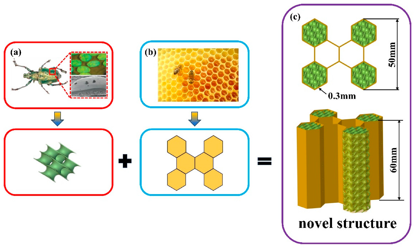 Coatings 14 00675 g001