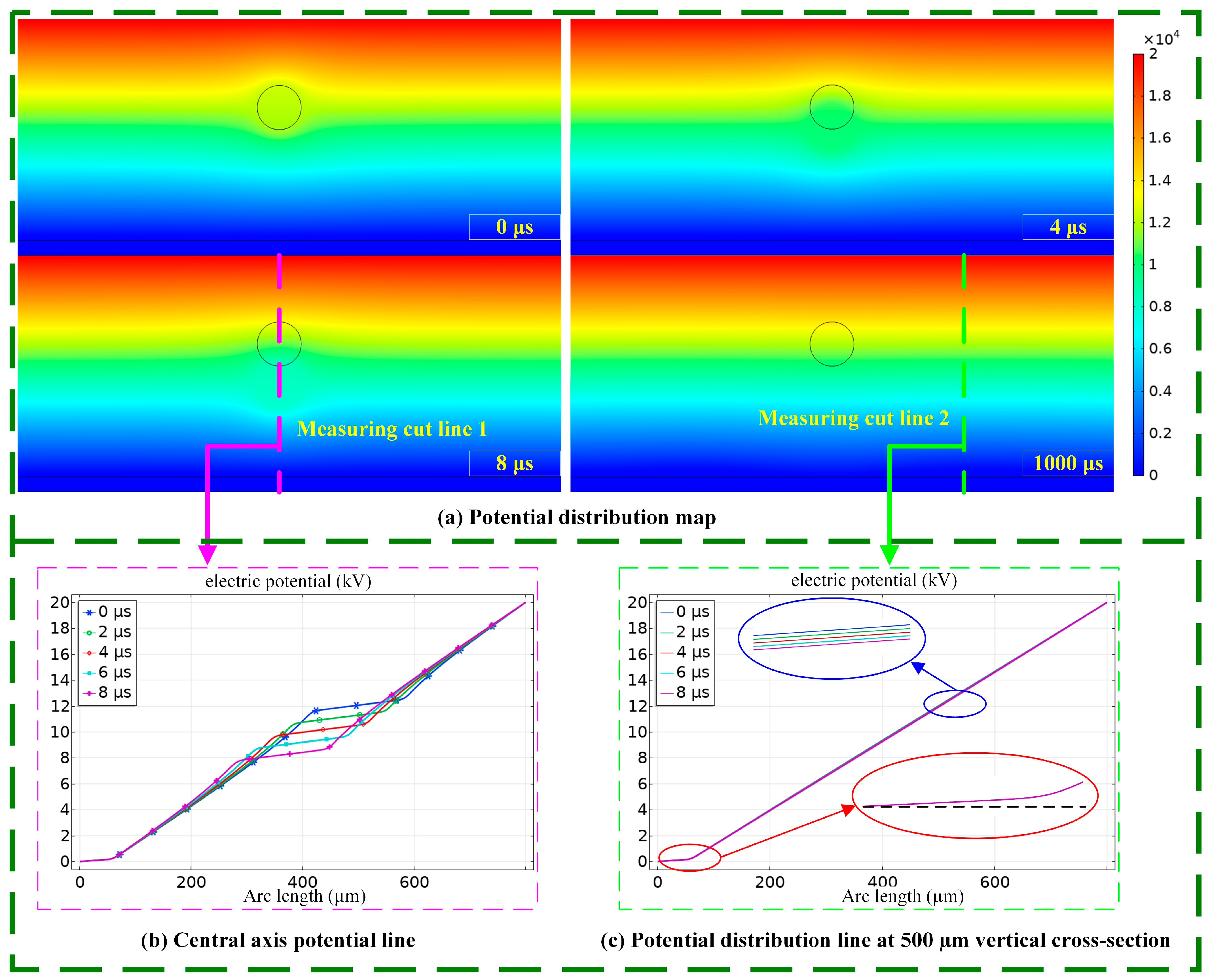 Coatings 14 00676 g006