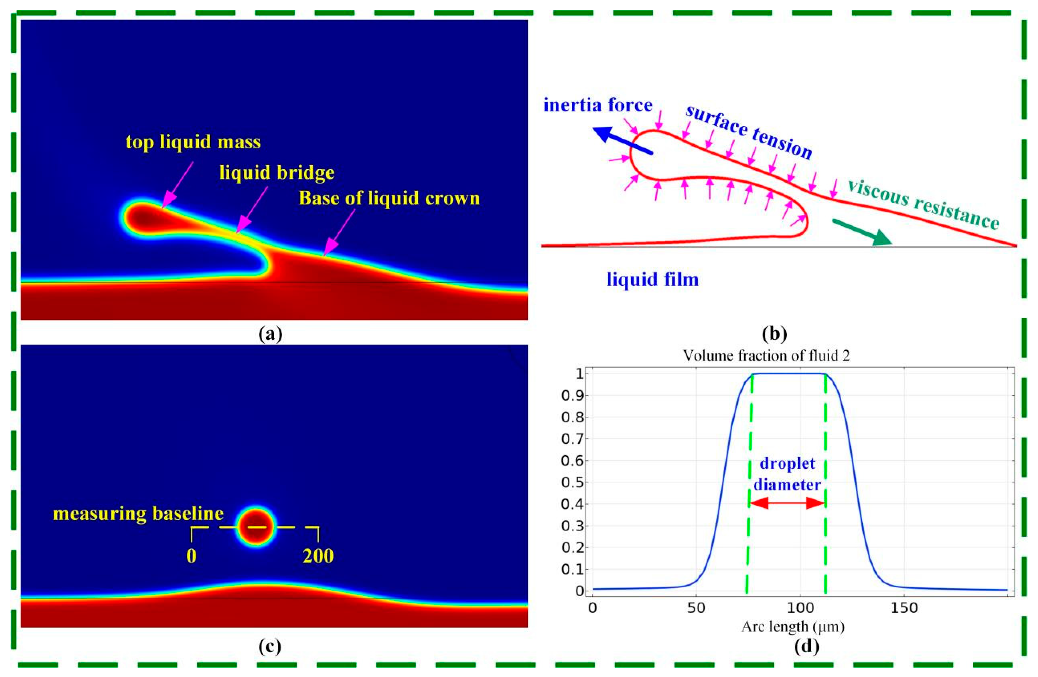 Coatings 14 00676 g012