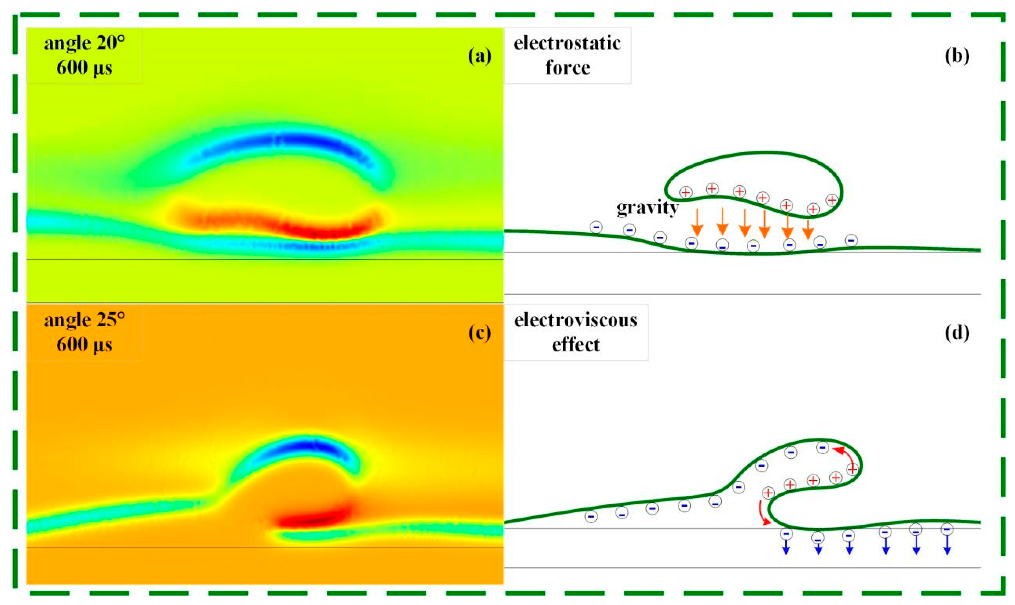 Coatings 14 00676 g020