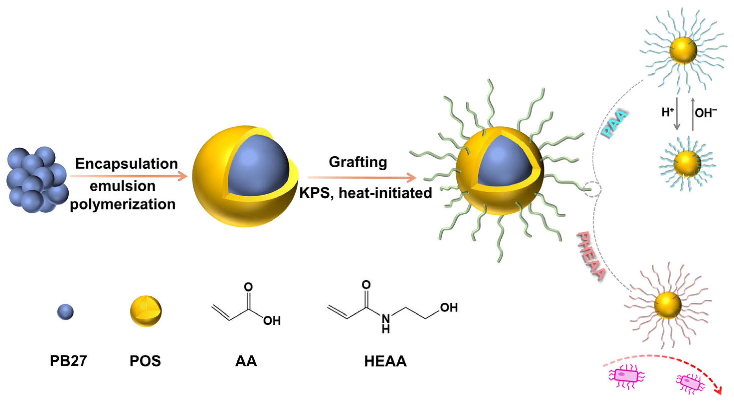 PSA9 初期 融合 Polymerization PSA9 初期 融合 Polymerization