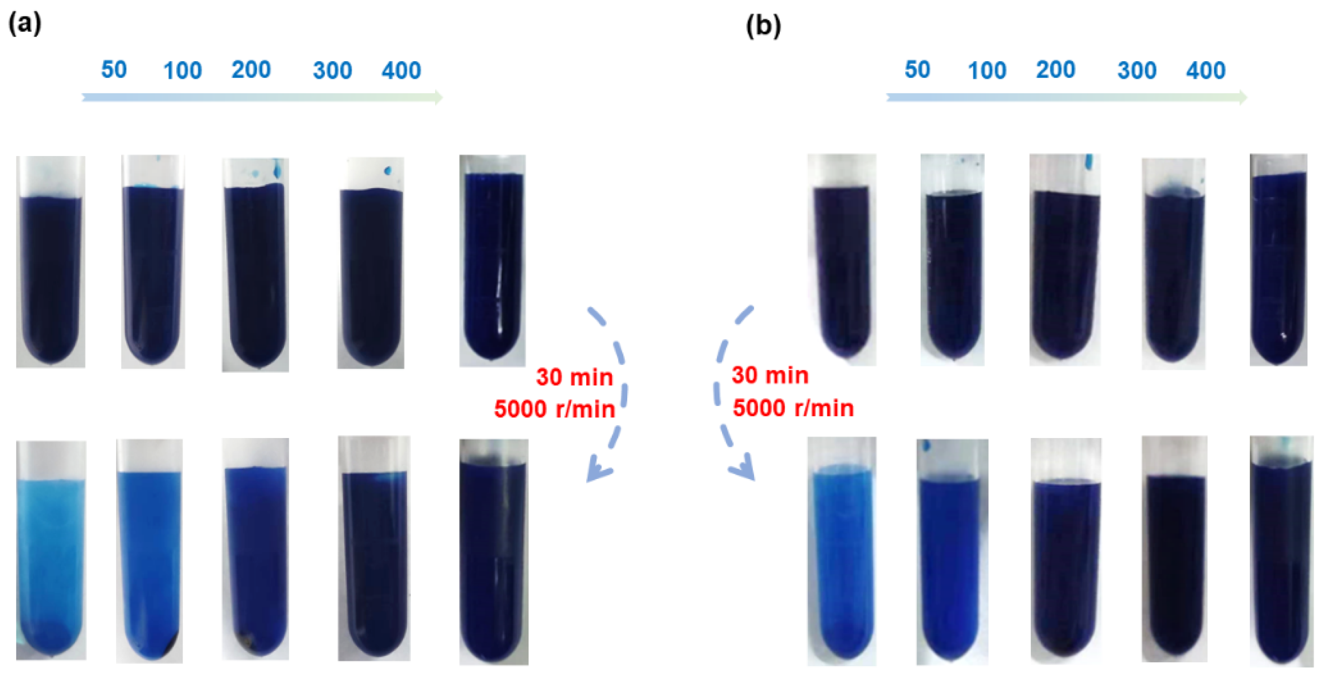 Coatings 14 00677 g009