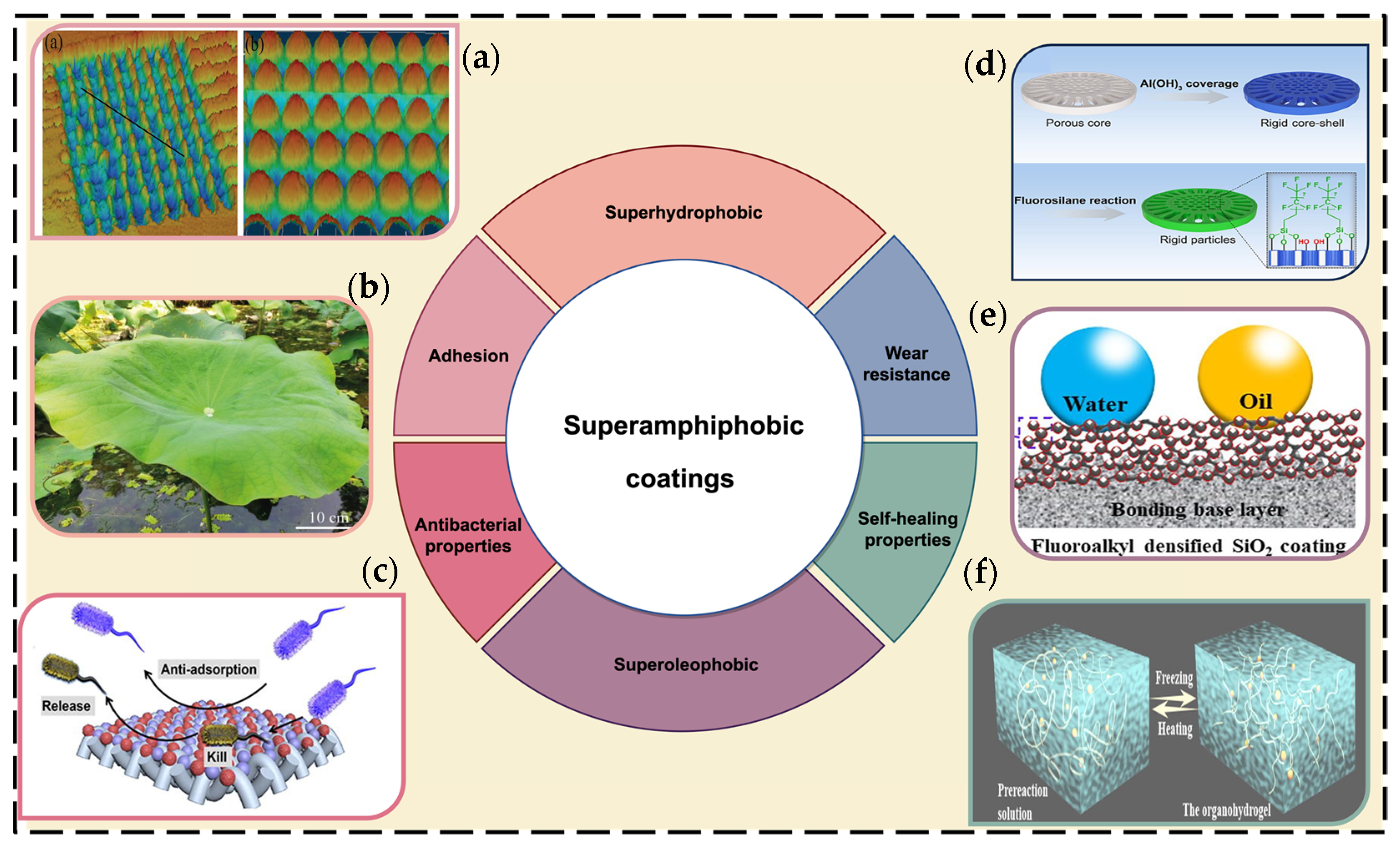 Coatings 14 00678 g004
