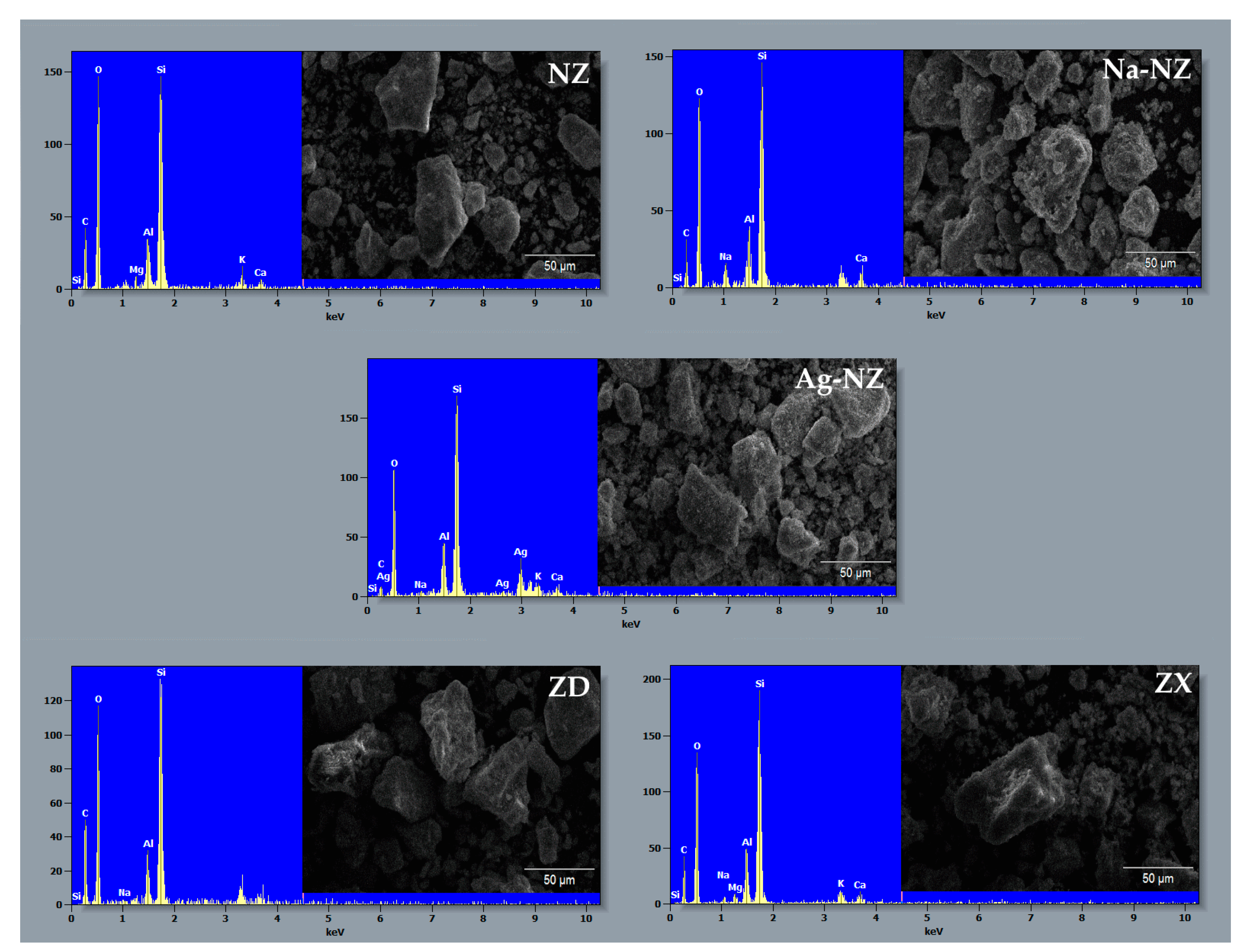 Coatings 14 00681 g003