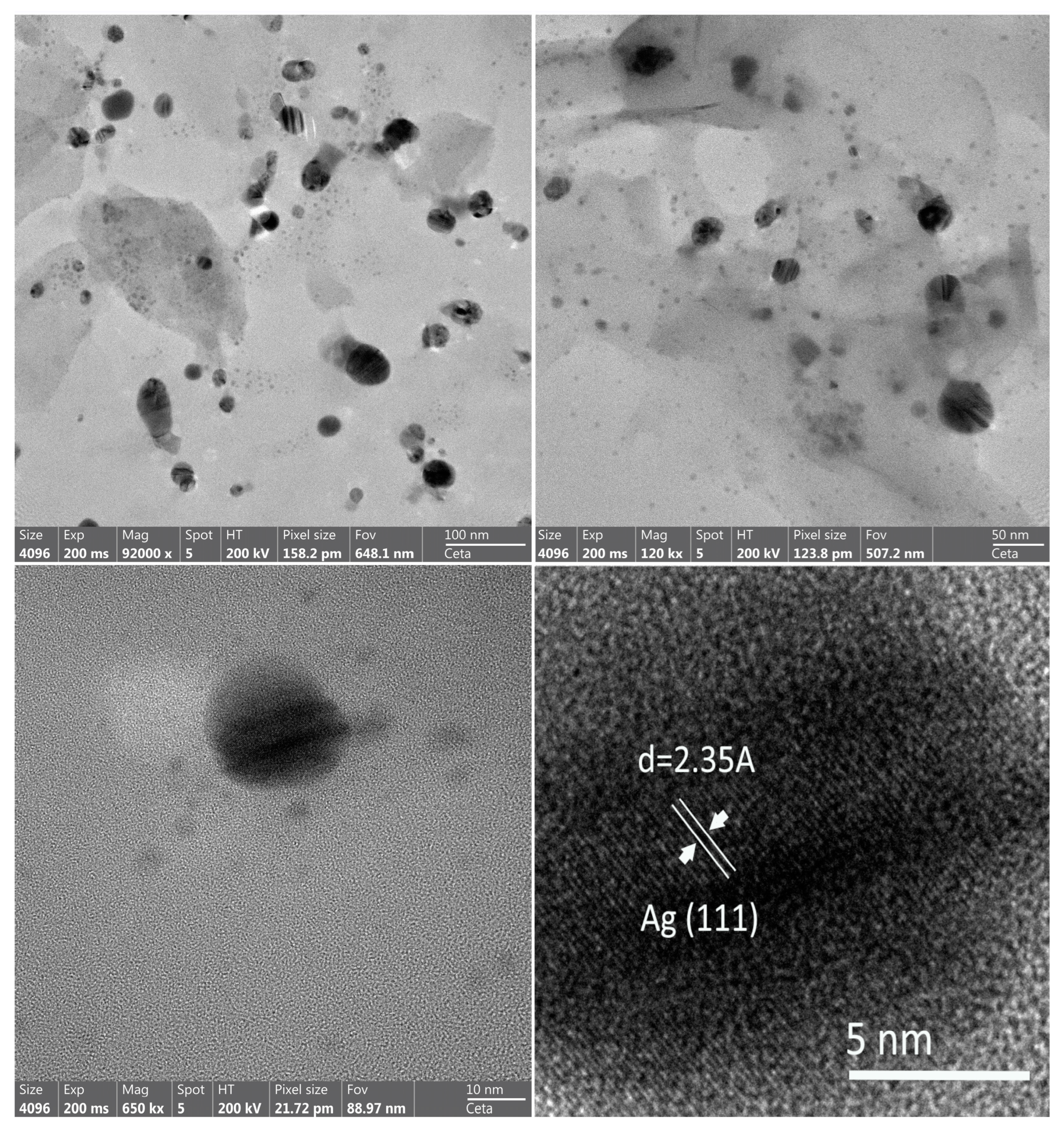 Coatings 14 00681 g005