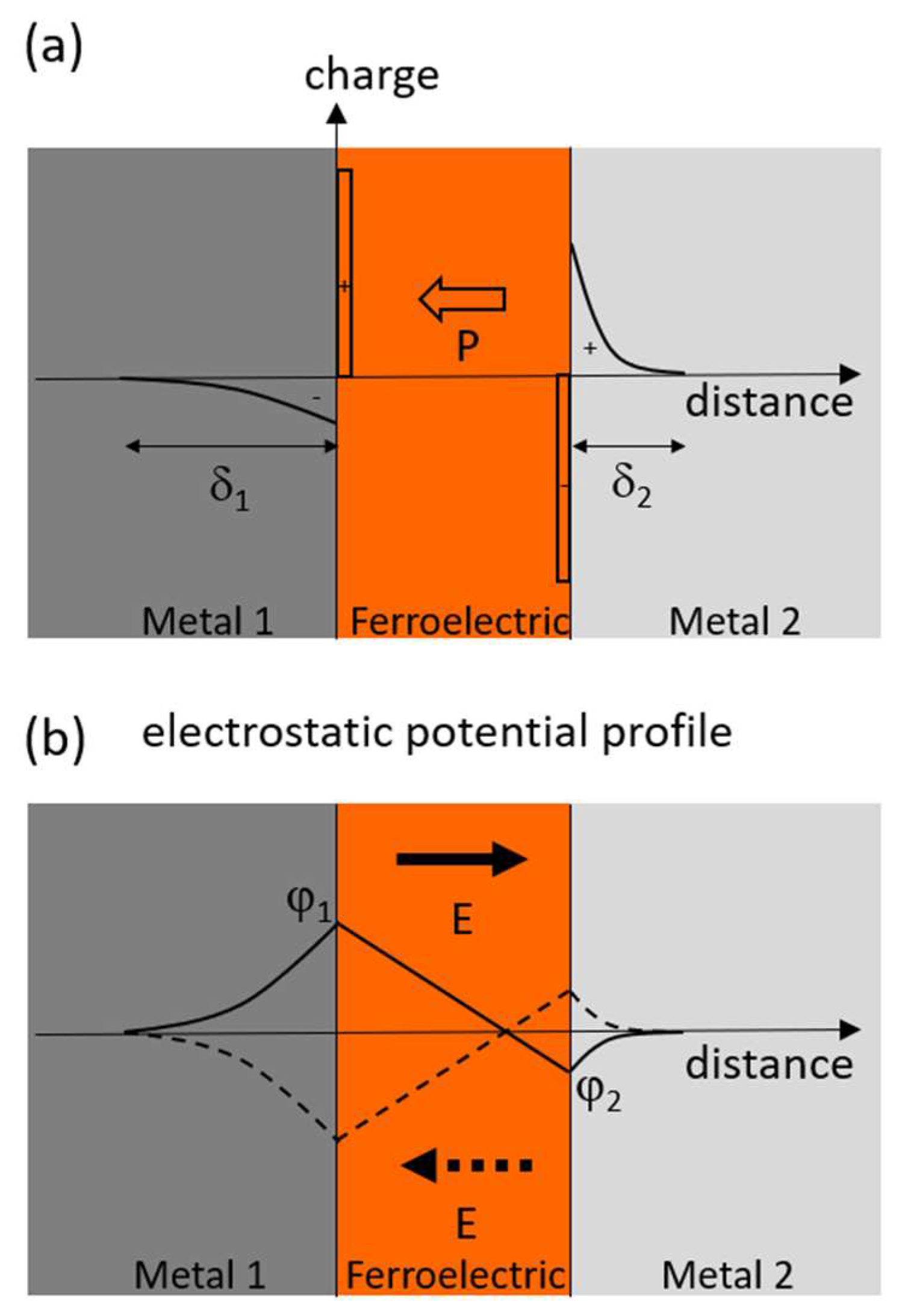 Coatings 14 00682 g004