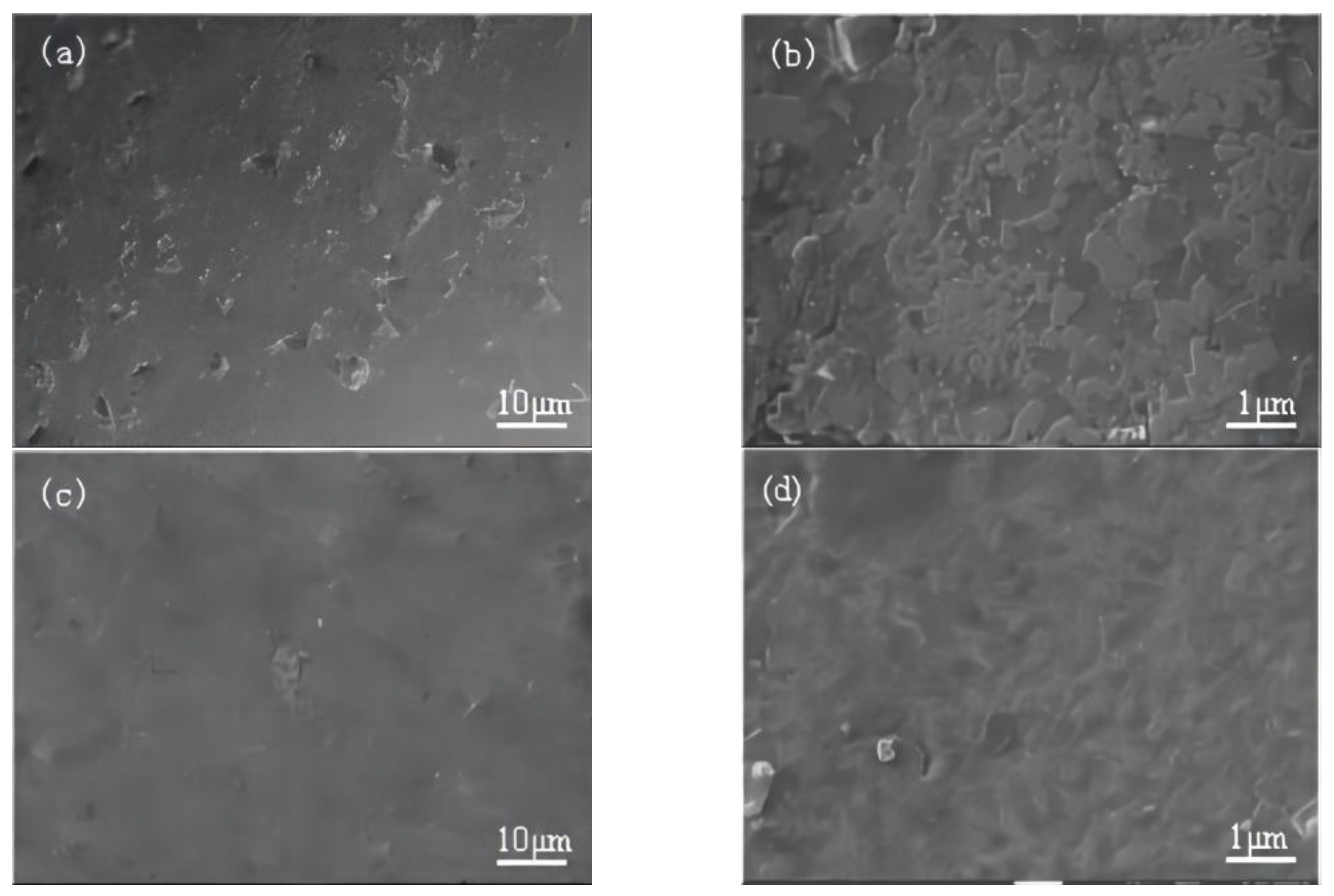 Coatings 14 00684 g005