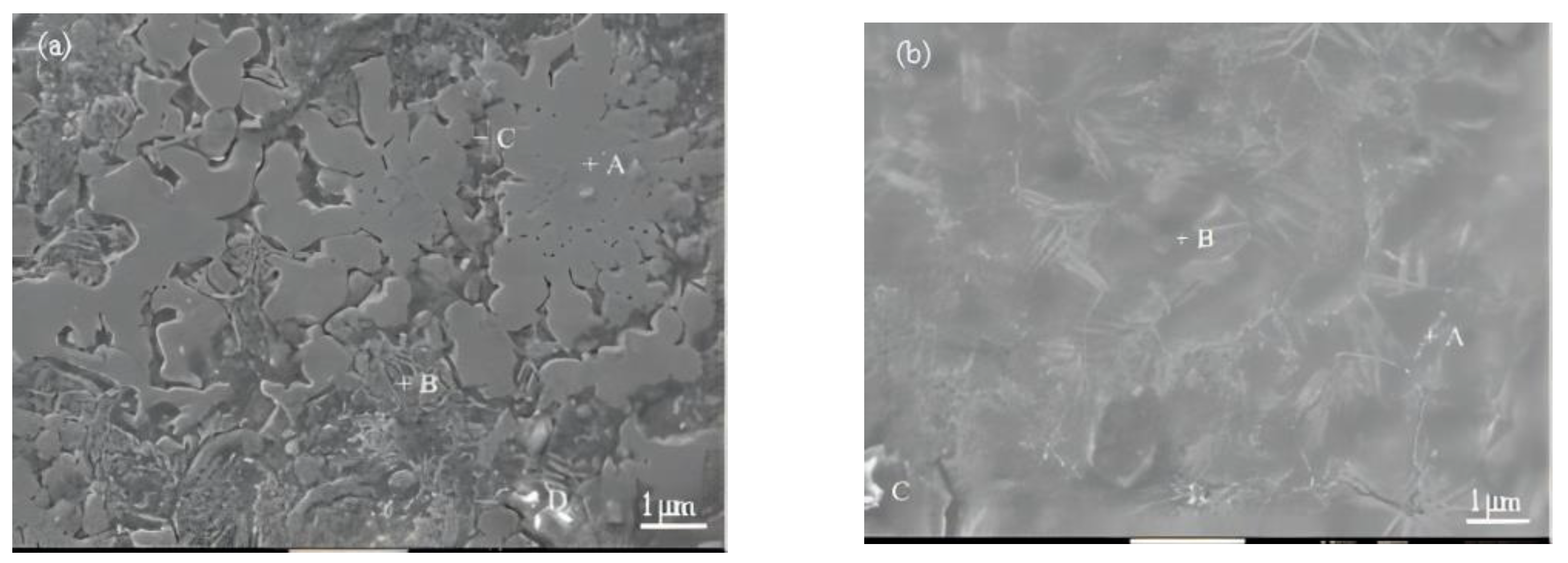 Coatings 14 00684 g006