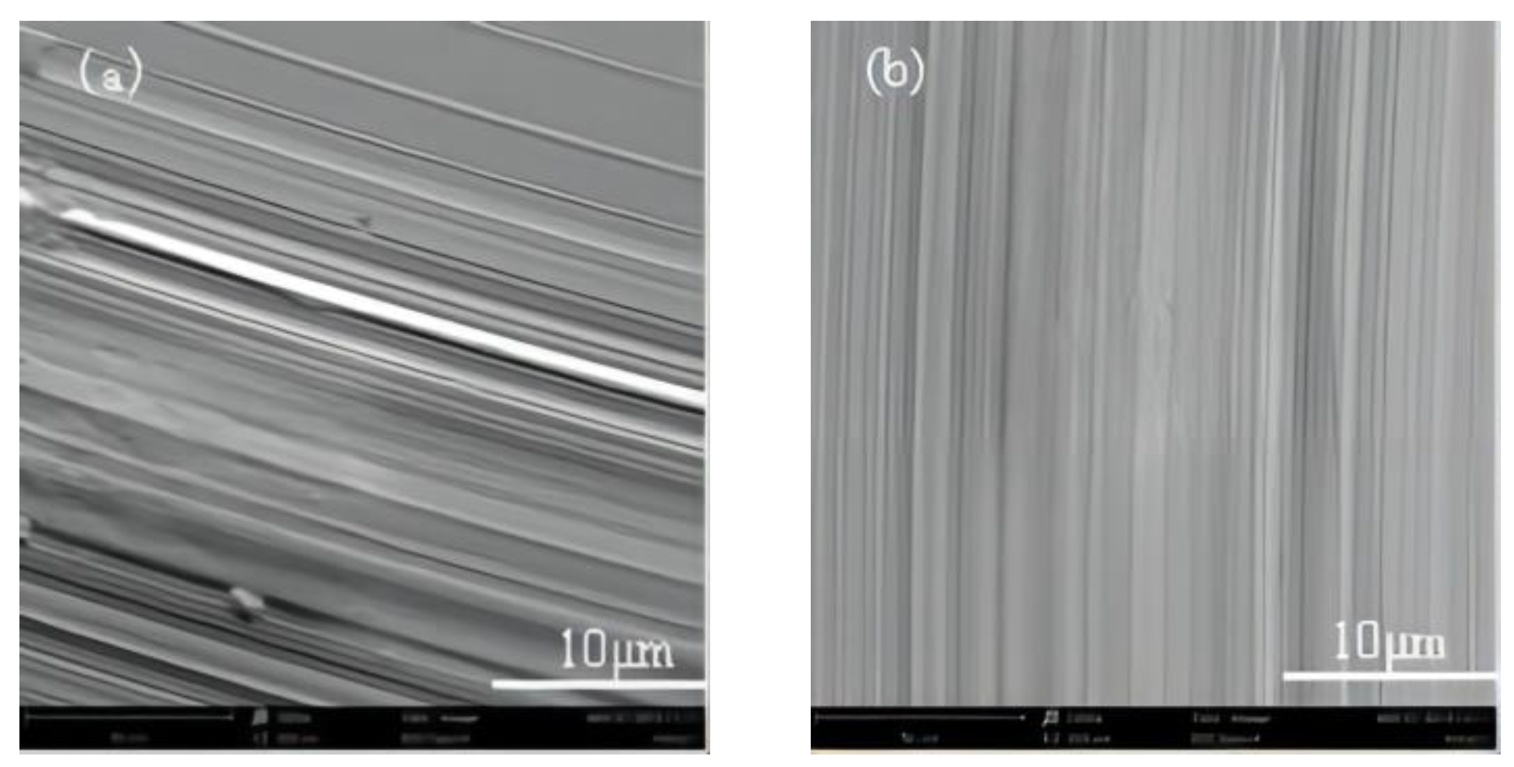 Coatings 14 00684 g007