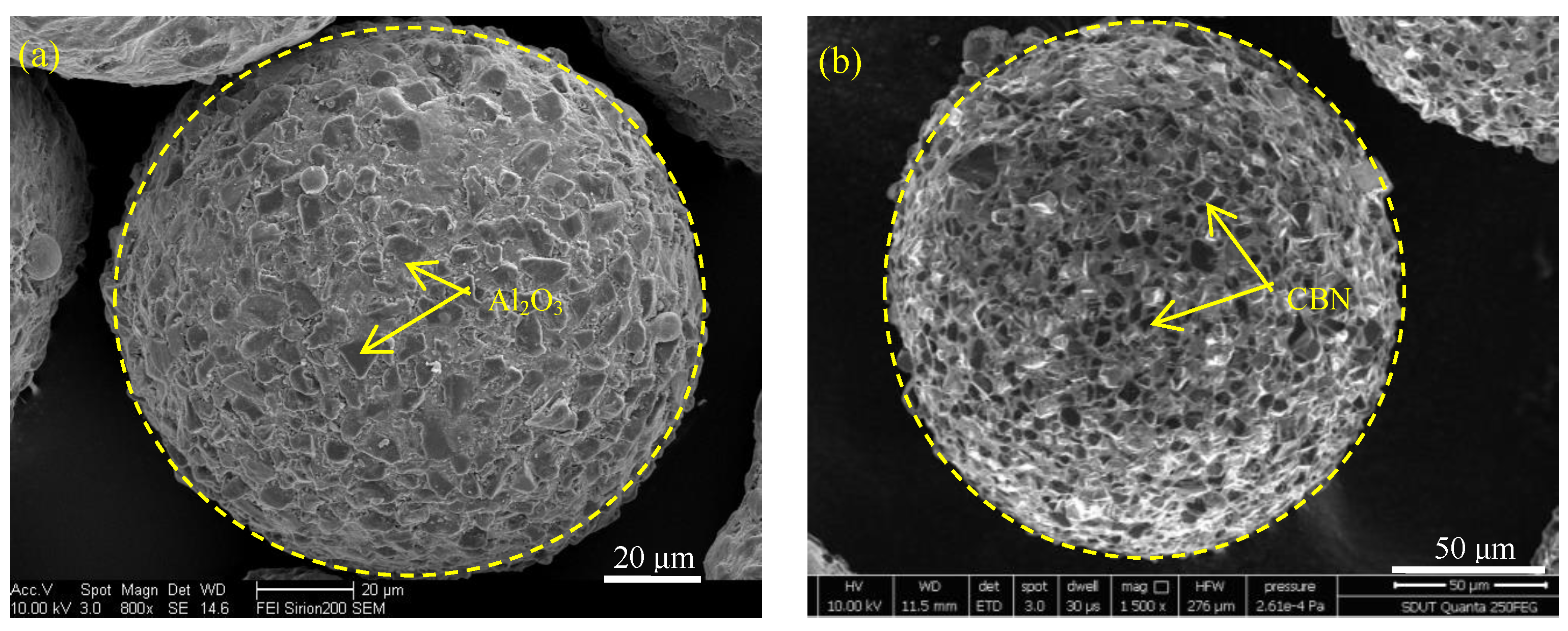 Coatings 14 00686 g003