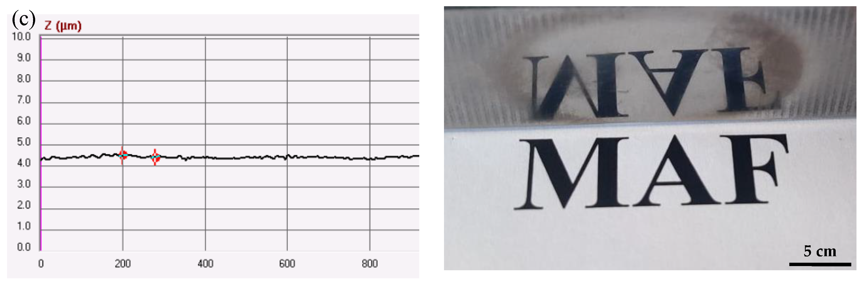 Coatings 14 00686 g007b