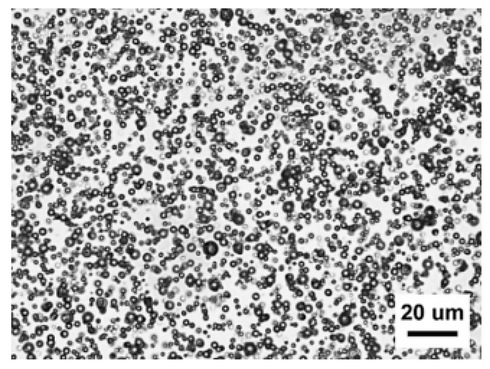 Coatings 14 00692 g002