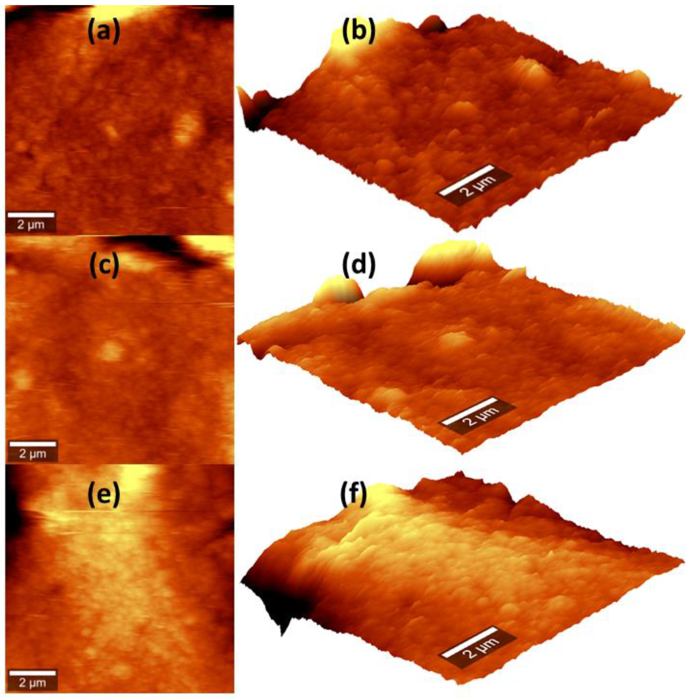 Coatings 14 00693 g005