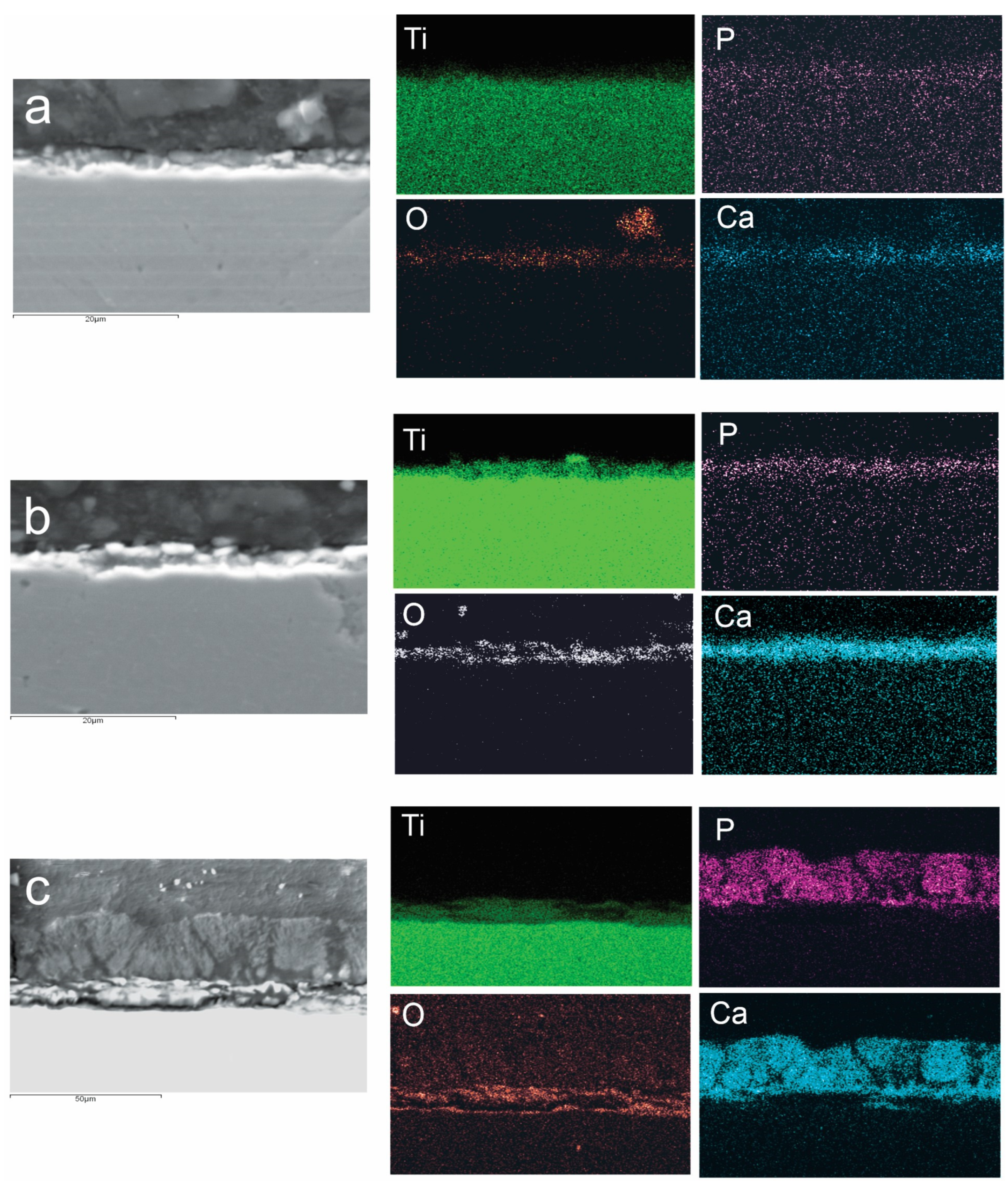 Coatings 14 00696 g004
