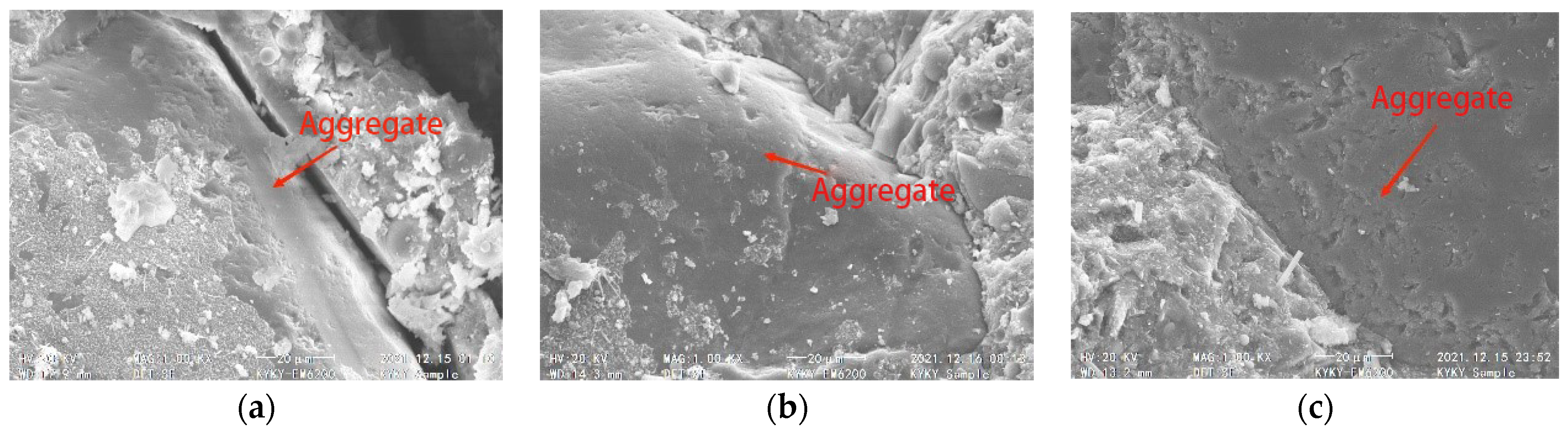 Coatings 14 00697 g022