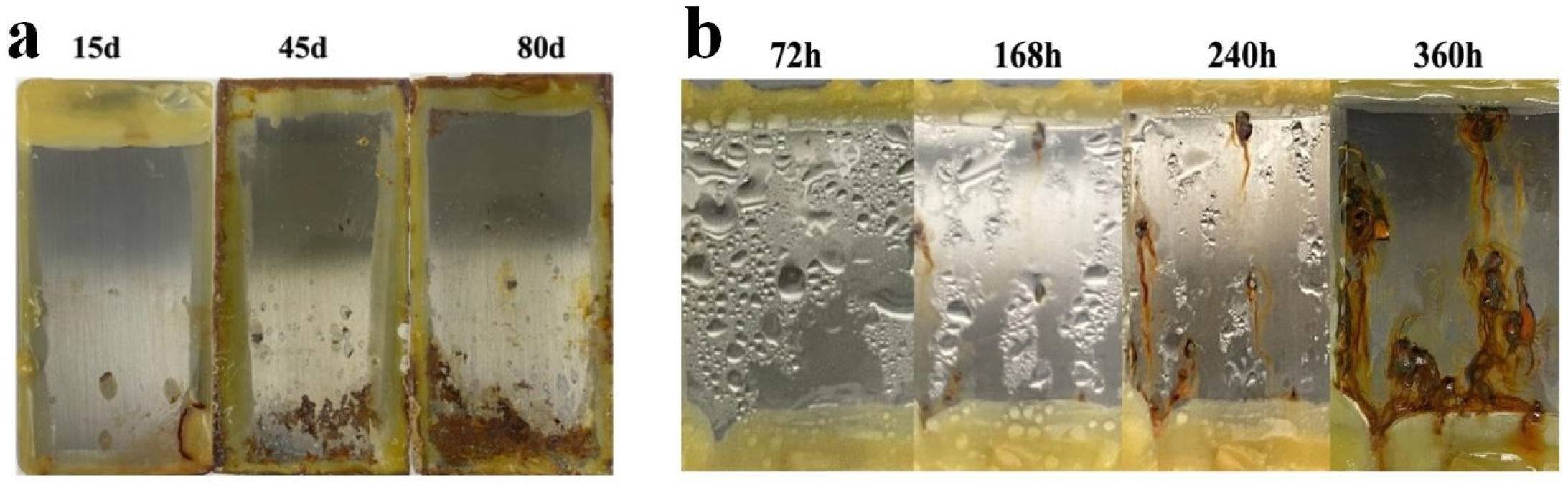 Coatings 14 00699 g010