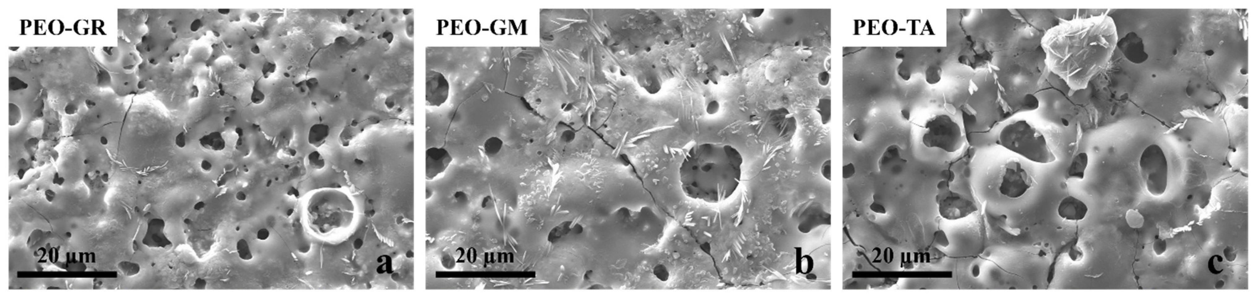 Coatings 14 00703 g005