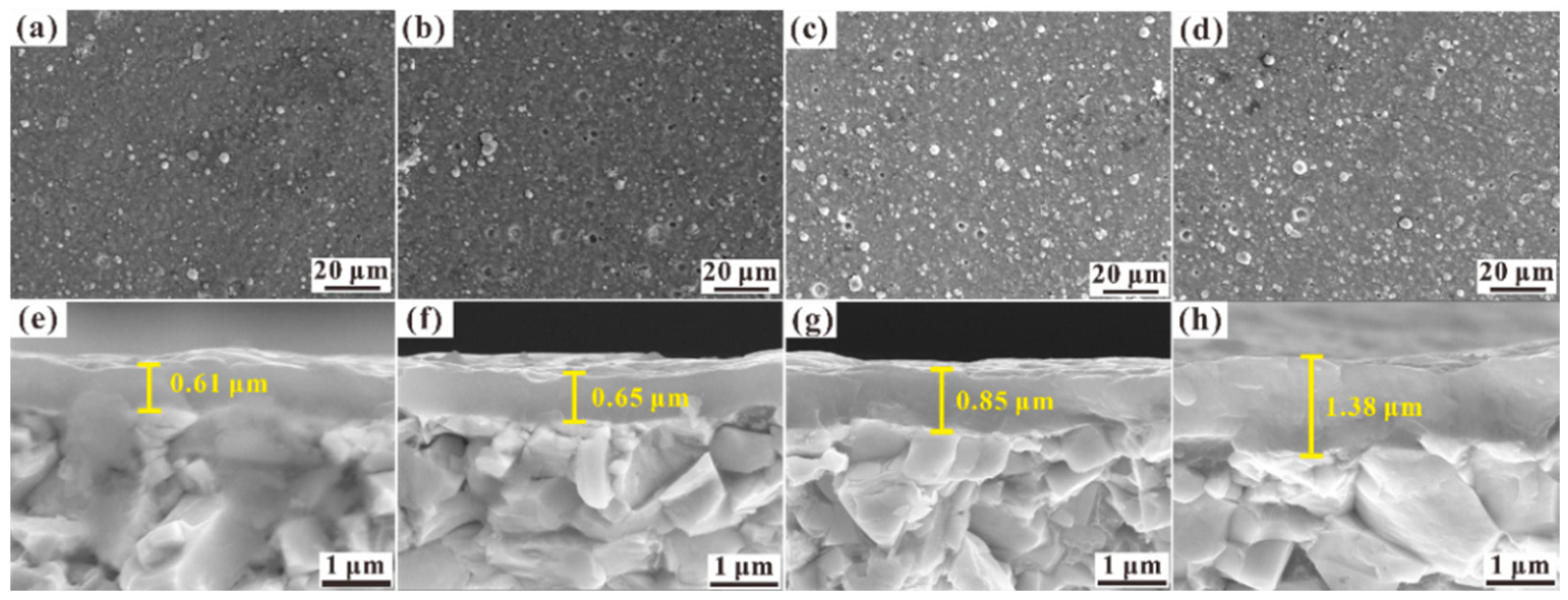 Coatings 14 00704 g003