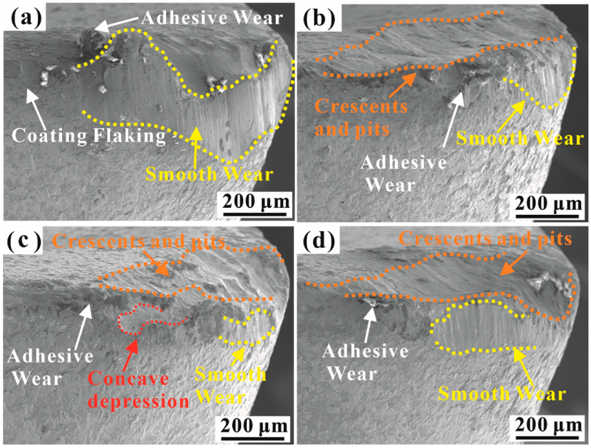 Coatings 14 00704 g010