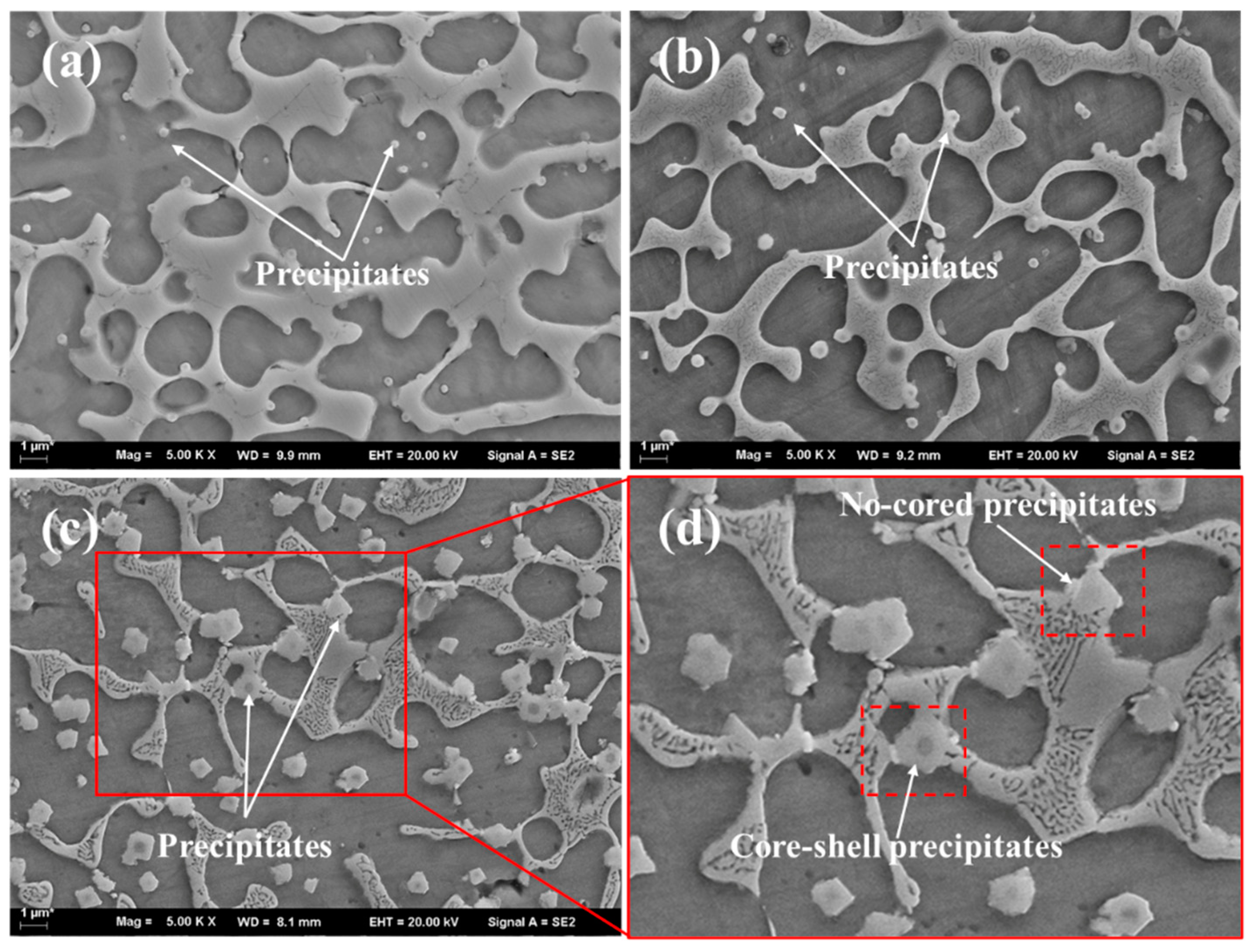 Coatings 14 00708 g003