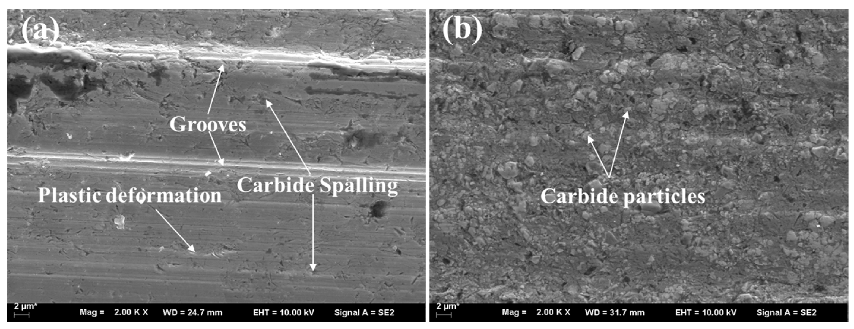 Coatings 14 00708 g011