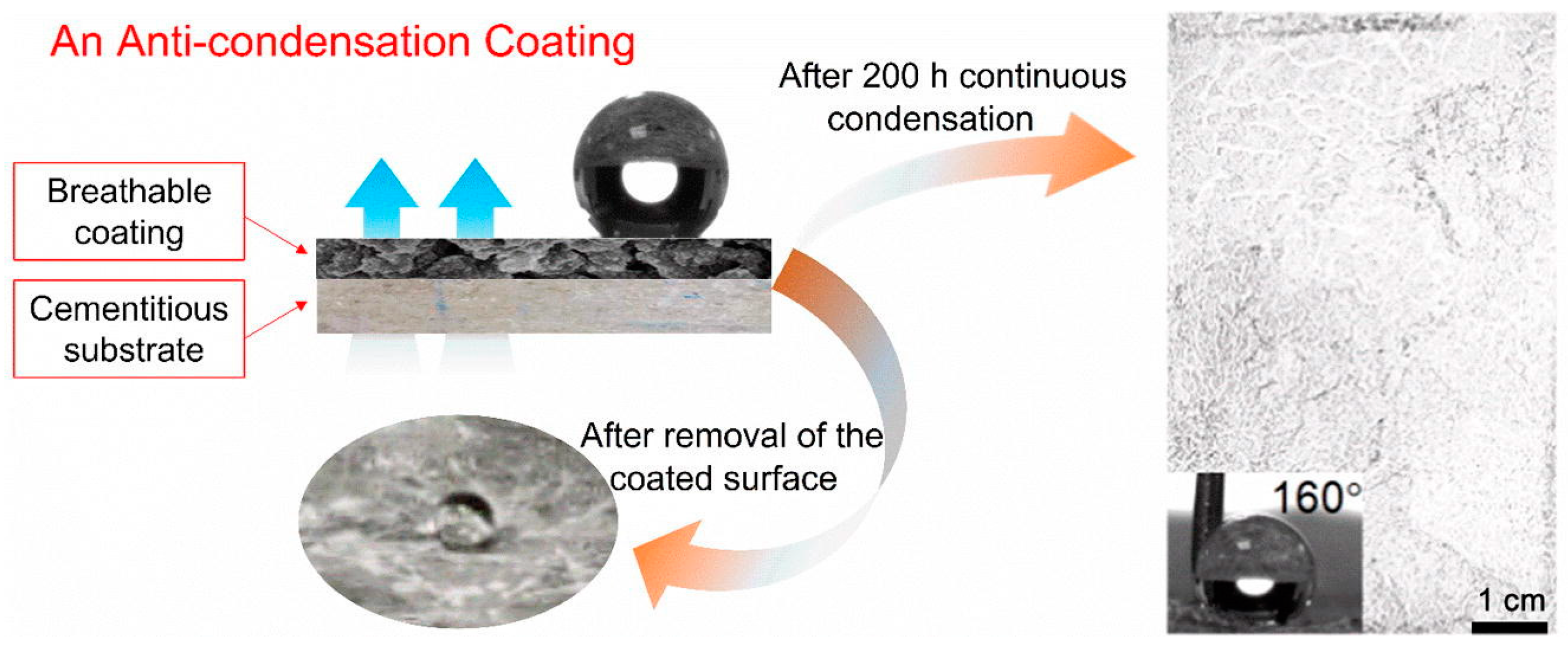 Coatings 14 00710 g004