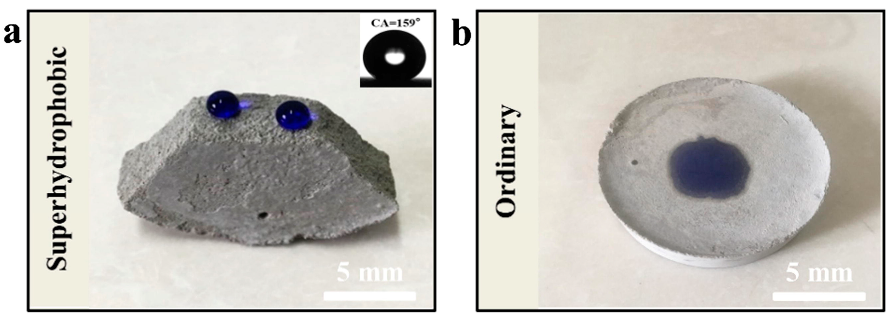 Coatings 14 00710 g008
