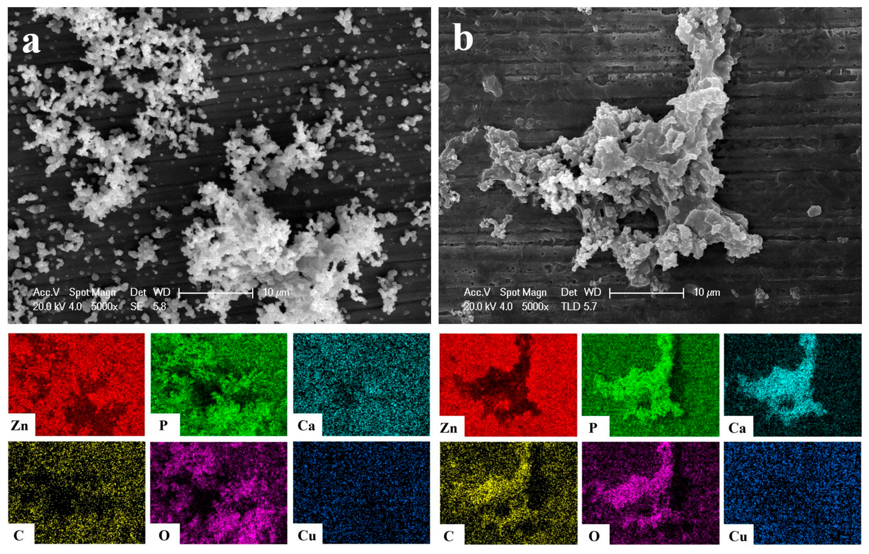 Coatings 14 00711 g004