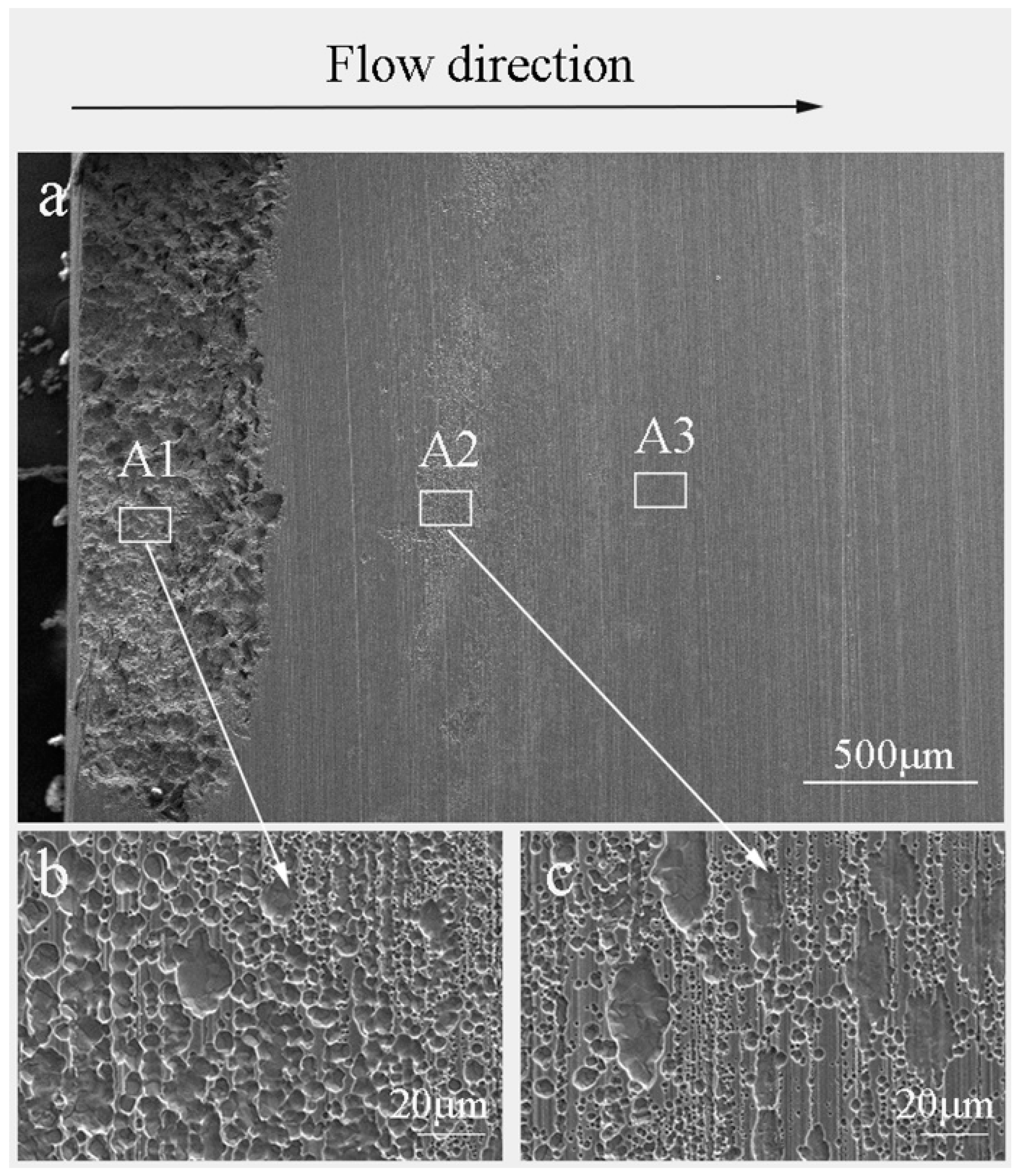 Coatings 14 00711 g005