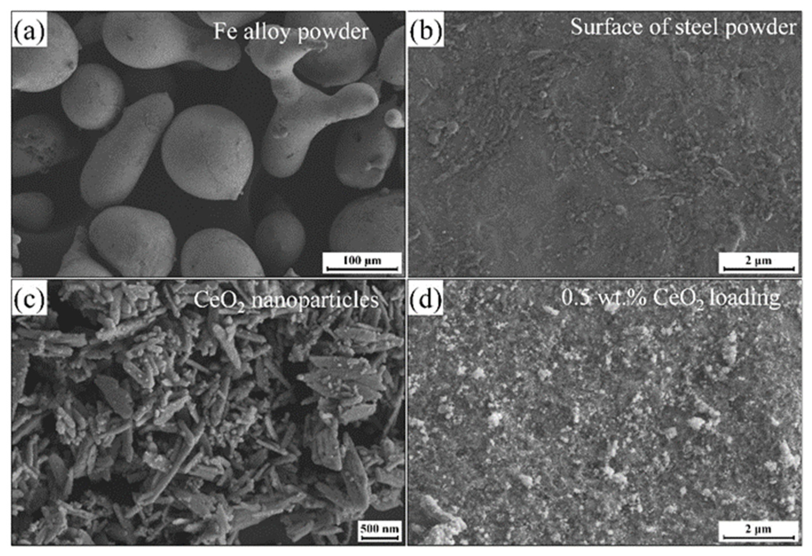Coatings 14 00713 g001