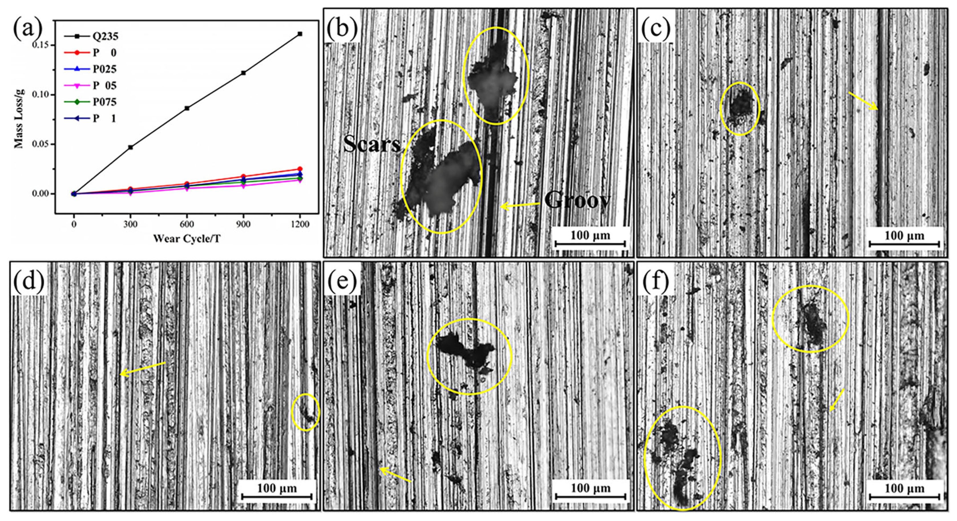 Coatings 14 00713 g013