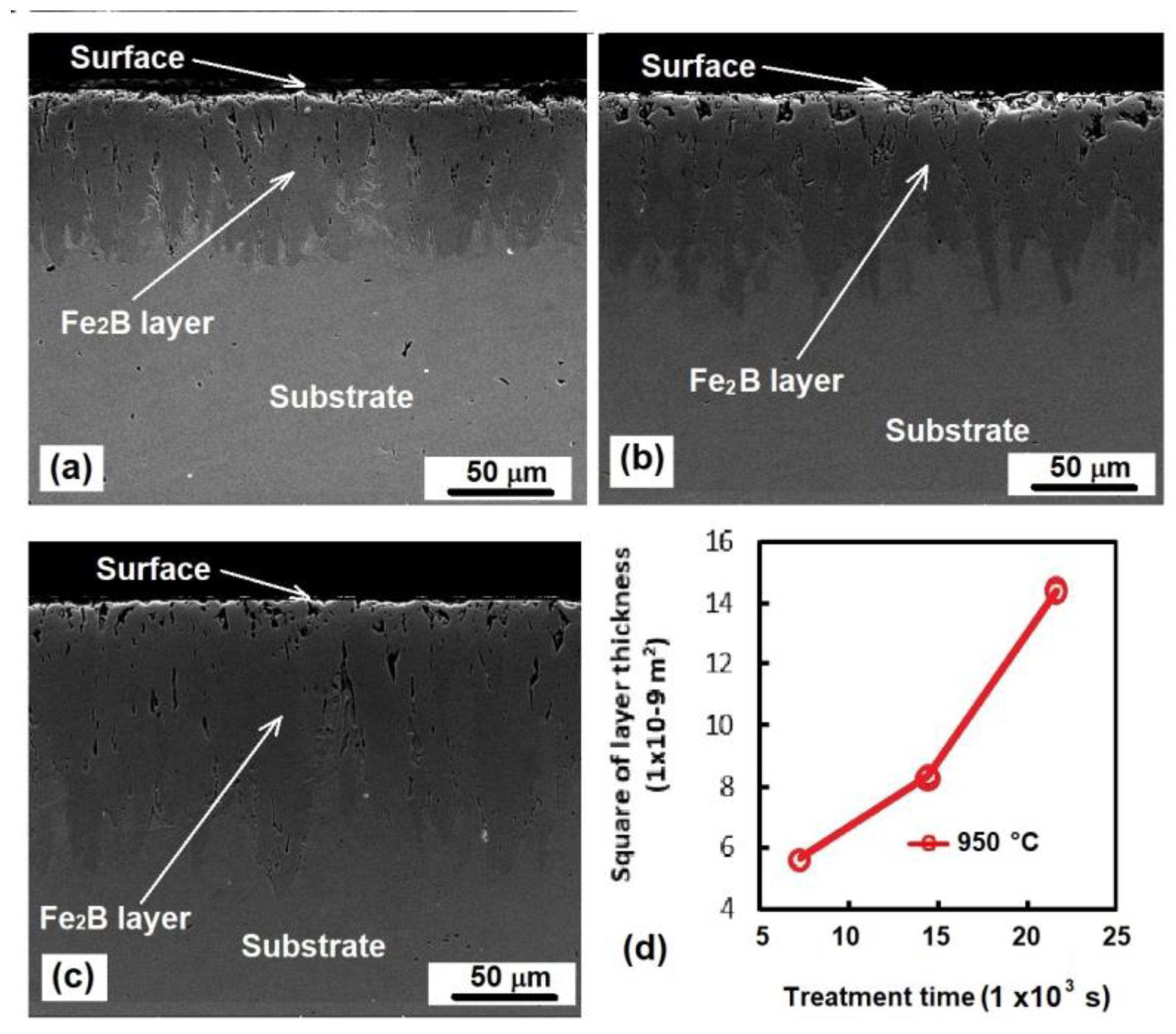 Coatings 14 00716 g003